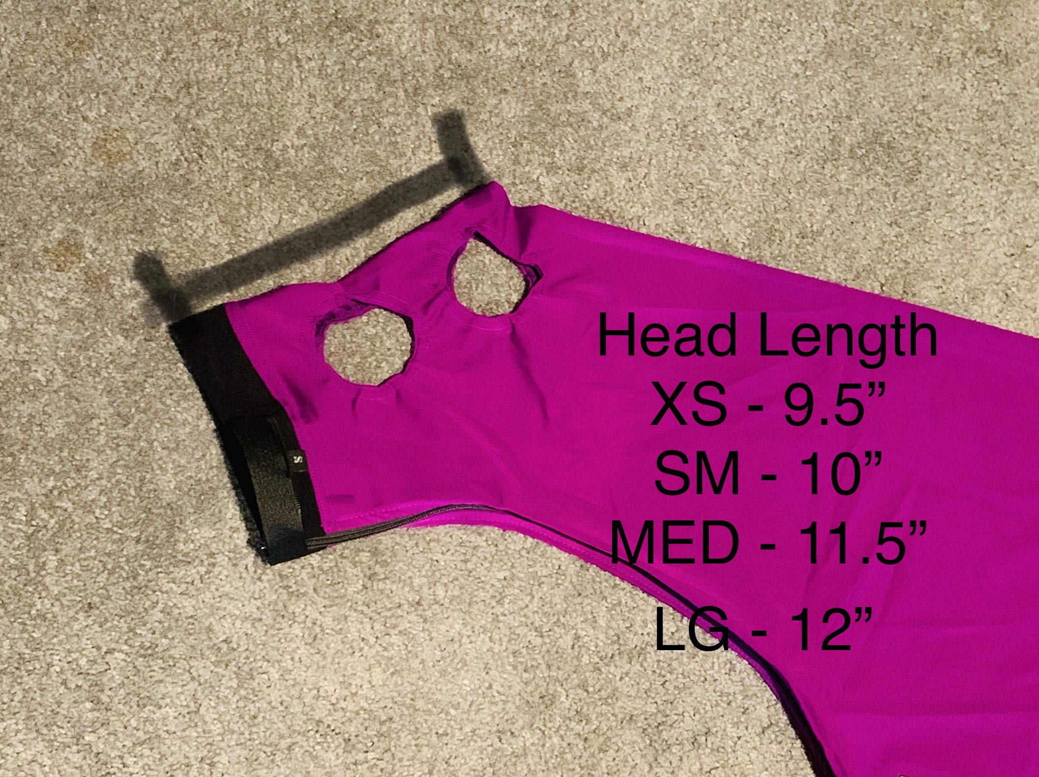 Star Point Horsemanship Miniature Horse Lycra Body Suit (Large 34-38, Royal Blue)