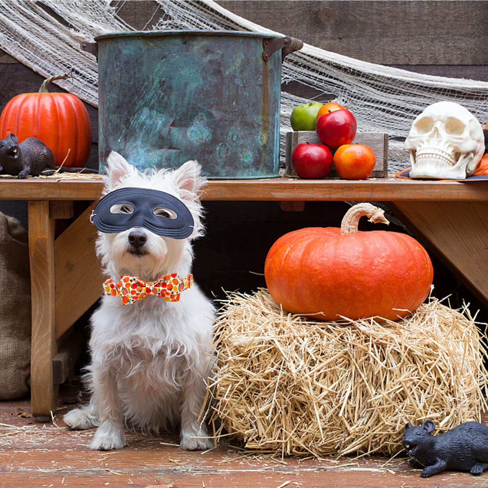 Elegant Little Tail Dog Collar With Bow - Fall Dog Collar Halloween Pumpkin Bow Girl Boy Pet Collar Soft Dog Bowtie Collars For Small Dogs