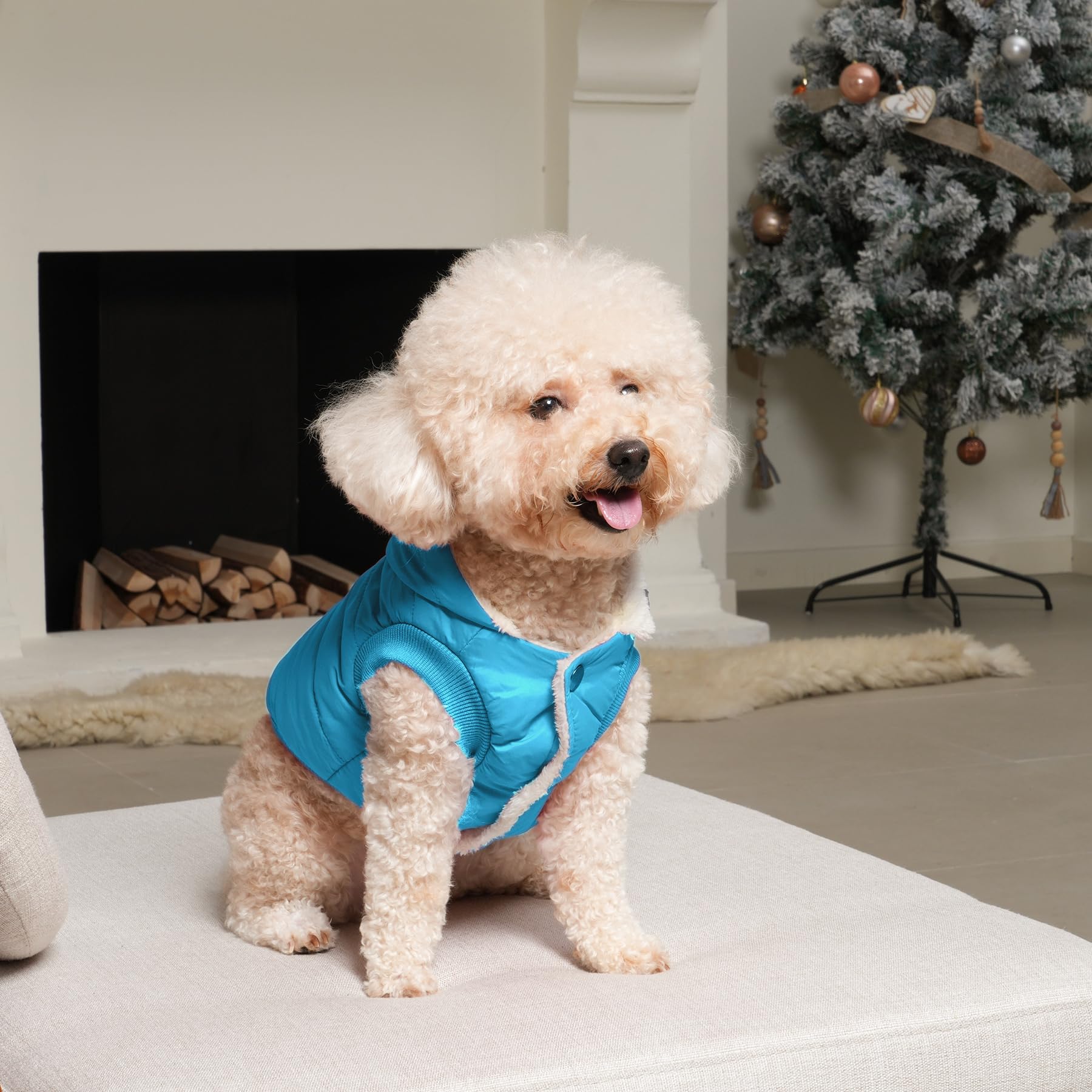 Vecomfy Fleece Lining Extra Warm Dog Hoodie In Winter,Small Dog Jacket Puppy Coats With Hooded,Light Blue S
