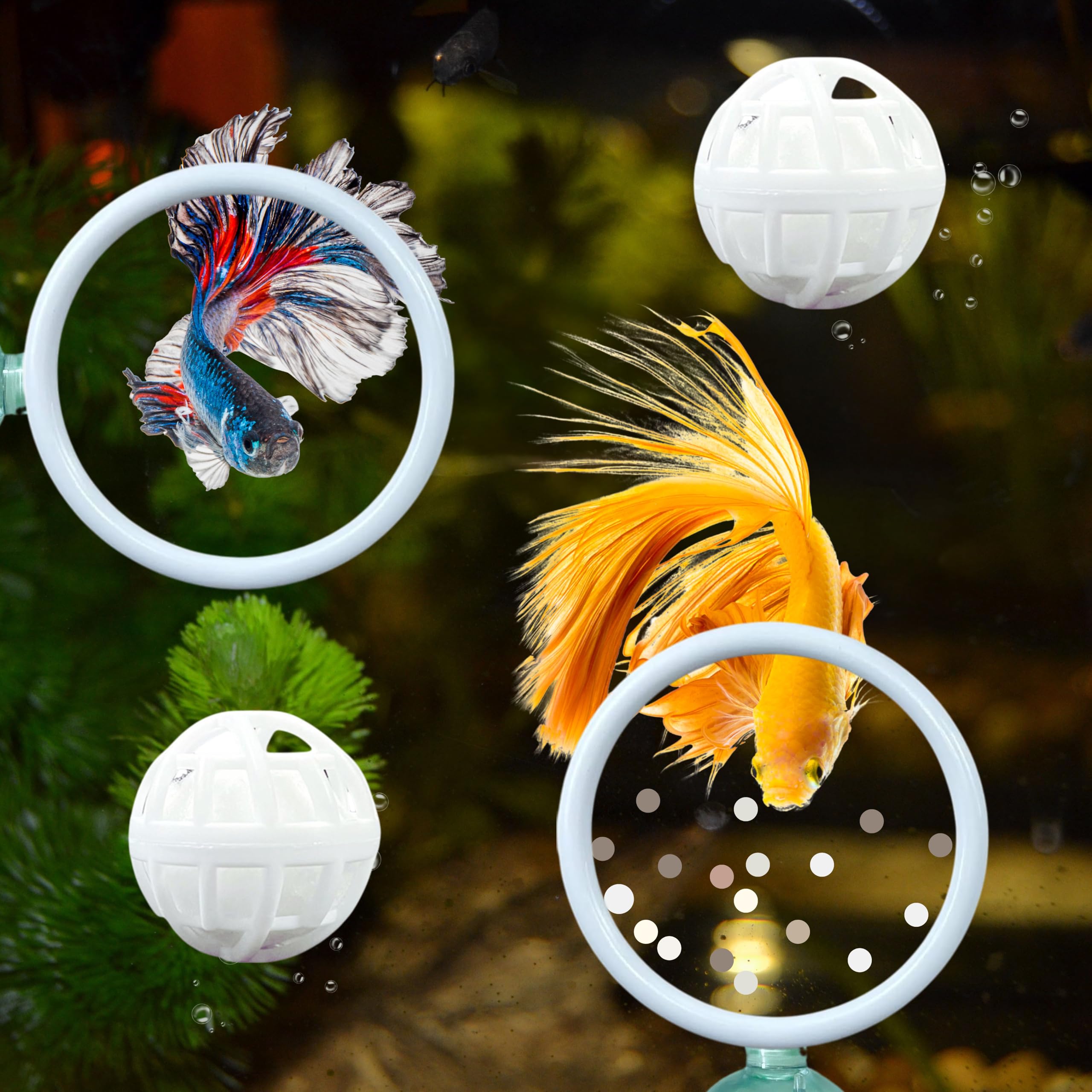 Betta Fish Exercise Ring And Filter Balls Set, Betta Ring Training Loop With Suction Cup And Nitrifying Ball, Betta Enrichment T