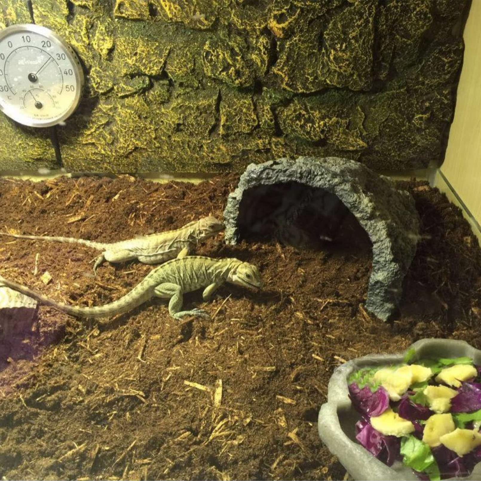 Bnosdm Reptile Soil Substrate Fluffy Small-Strand Reptile Substrate And Snake Bedding Clean Natural Terrarium Bedding For Lizard