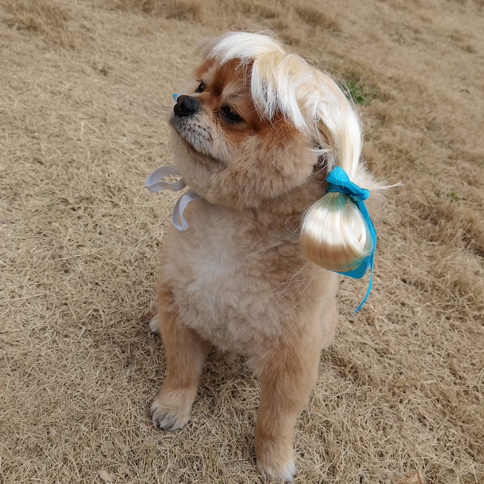 TESSVEYA Golden Braid Dog Wig - Funny Cosplay Accessory for Small, Medium & Large Dogs - Perfect for Halloween, Christmas & Parties