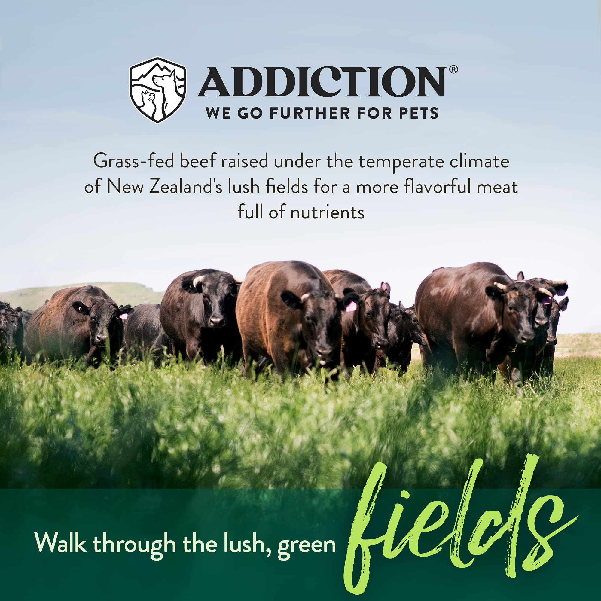 Addiction Steakhouse Beef & Zucchini Air-Dried Grain-Free Dog Food - Complete Meal or Topper with Natural Ingredients for Digest