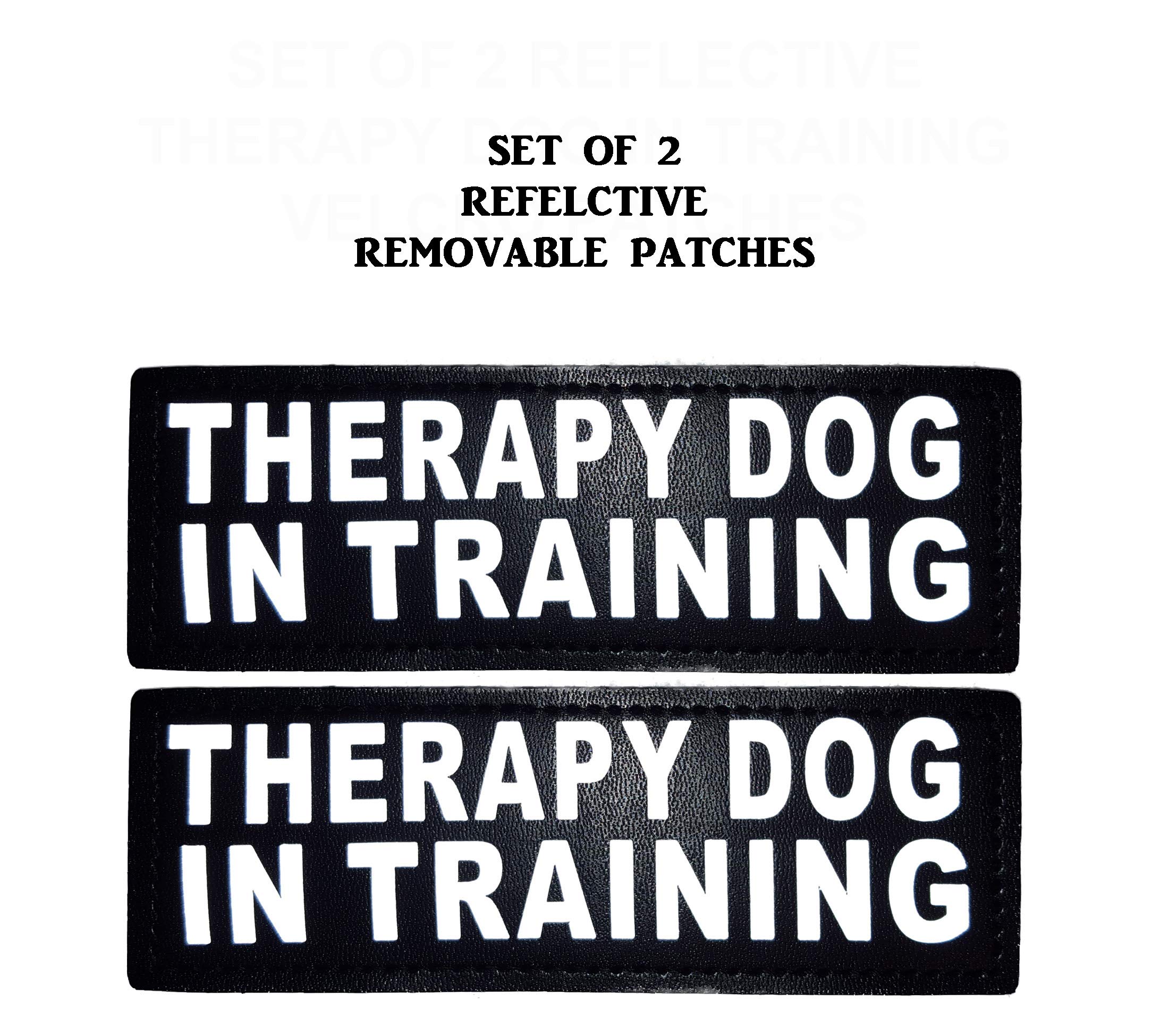 Therapy Dog In Training Nylon Dog Vest Harness. Purchase Comes With 2 Reflective Therapy Dog In Training Pathces. Please Measure Your Dog Before Ordering (Girth 14-18', Black)
