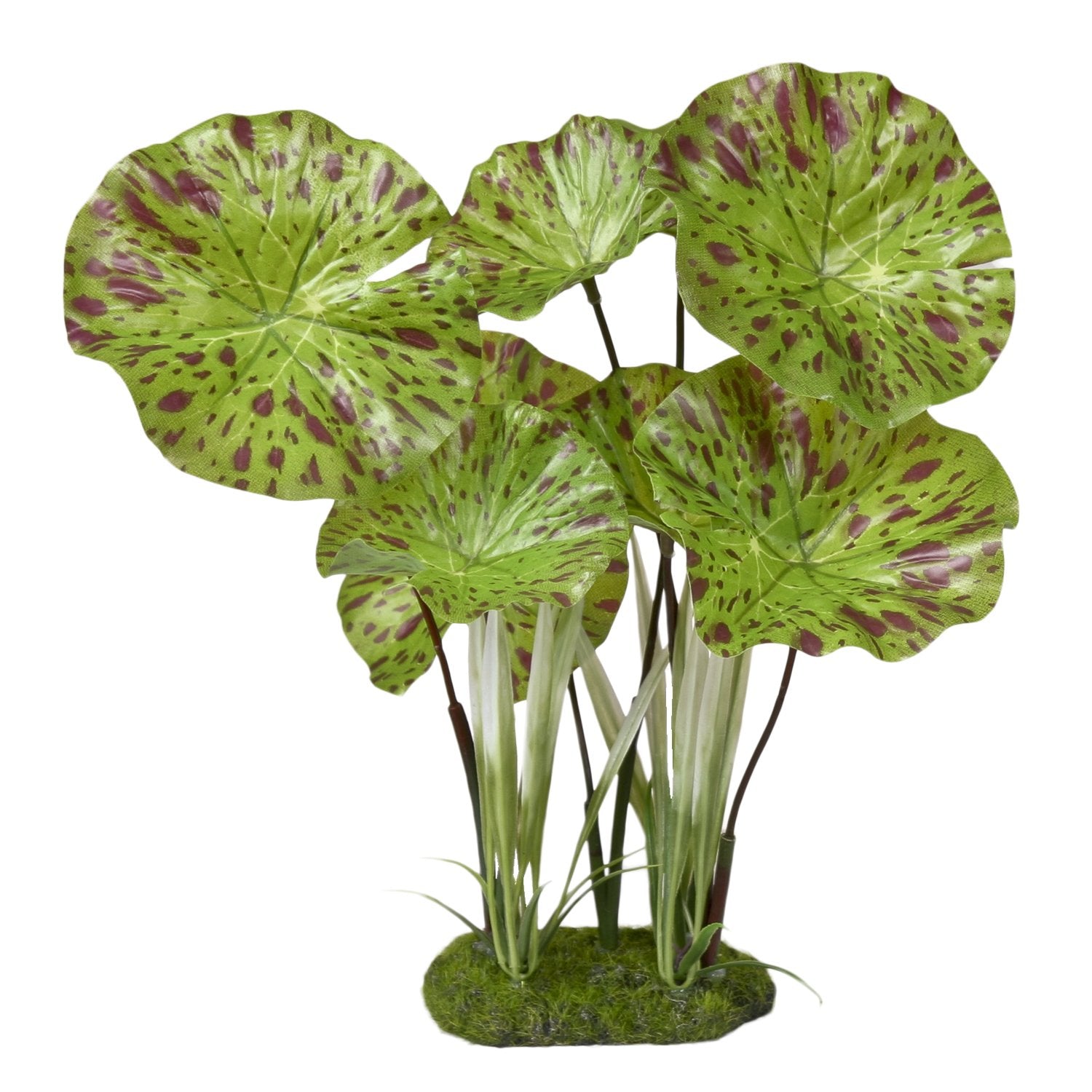 Blue Ribbon Color Burst Florals Lotus Plant, Model CB-3053, Blue, Plastic