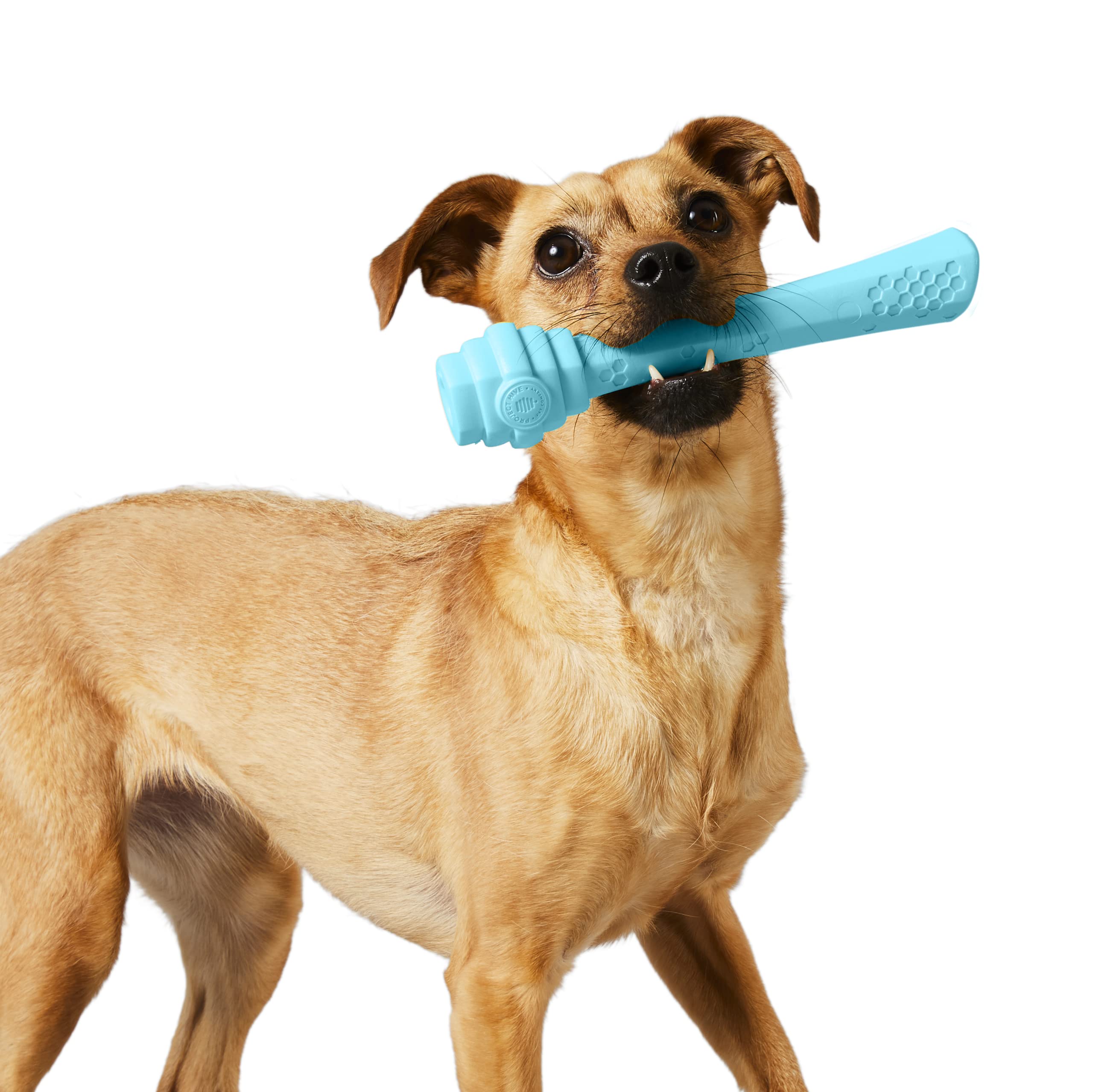 Project Hive ·Pet Company· - Soothing Vanilla Scented - Hive Dog Fetch Stick For Large Breeds - Dog Stick Toy - Floats In Water - Treat Dispenser Toy - Durable And Tough - Made In The Usa