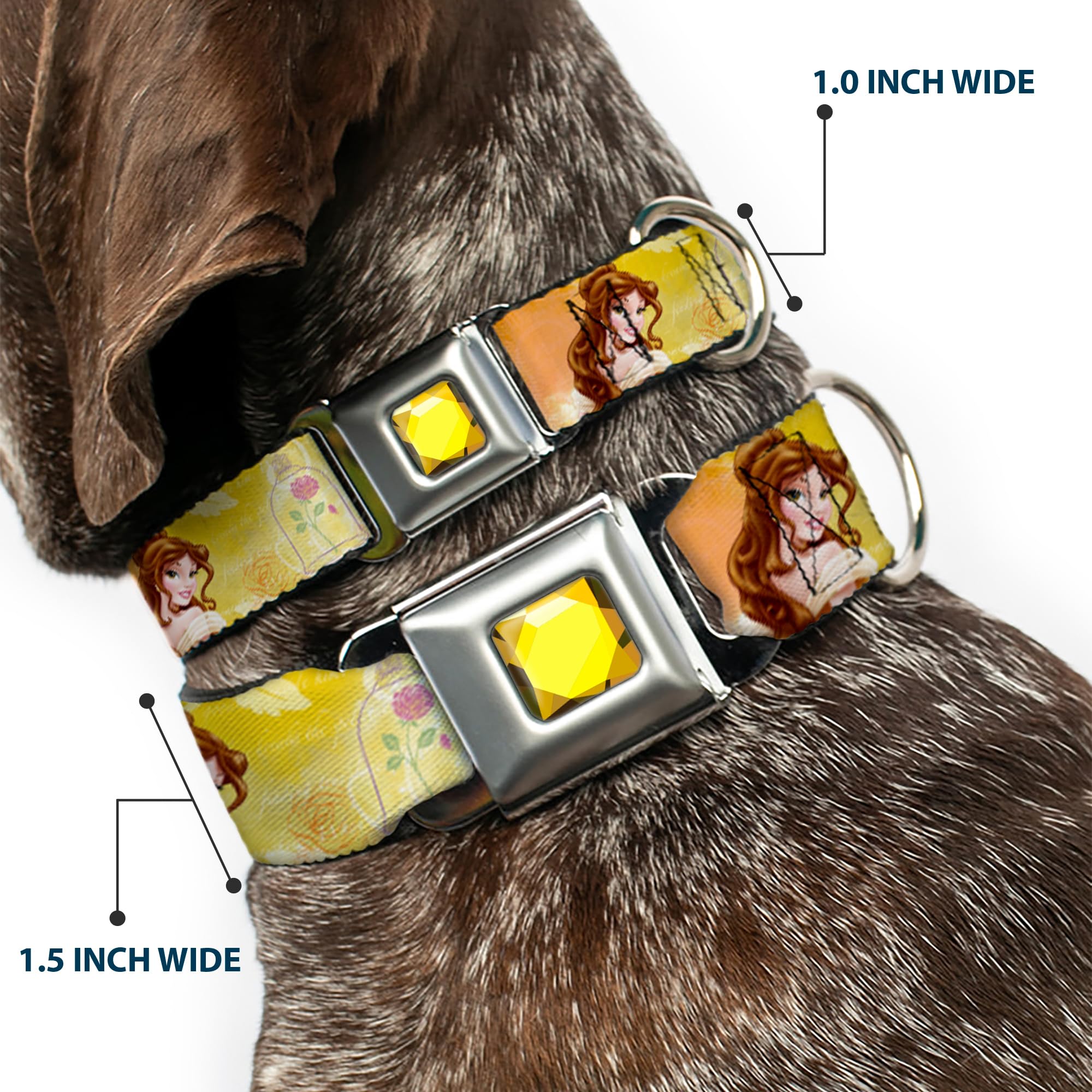 Buckle-Down Seatbelt Buckle Dog Collar - Belle Poses/Enchanted Rose/Story Script Yellow/Pinks - 1.5' Wide - Fits 18-32' Neck -