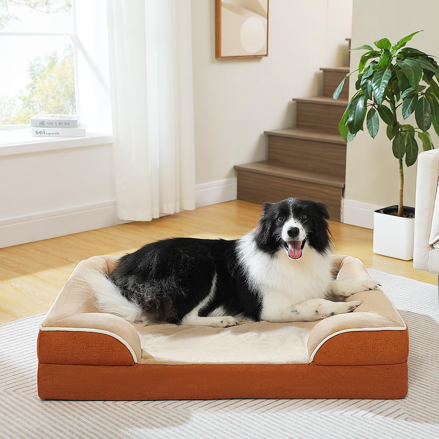 Pawz Road Orthopedic Dog Bed Medium With Memory Foam,2-Layer Waterproof Cover And Non-Slip Bottom For Small, Medium And Large Do