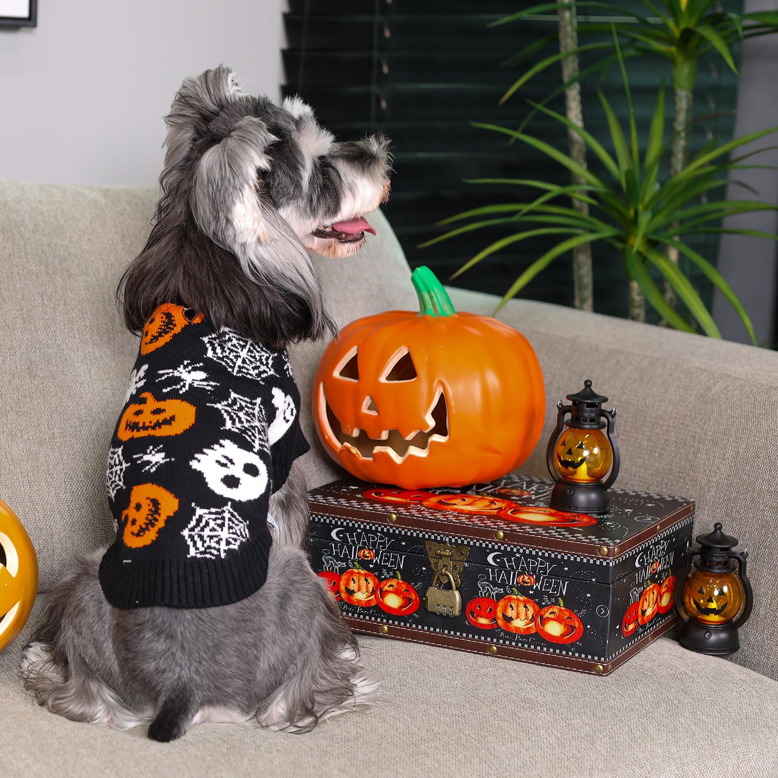 Cutebone Skull Dog Sweater Black Dog Sweater With Leash Hole Puppy Clothes For Medium Dogs Cozy Sweatshirts Puppy Sweater For Ch