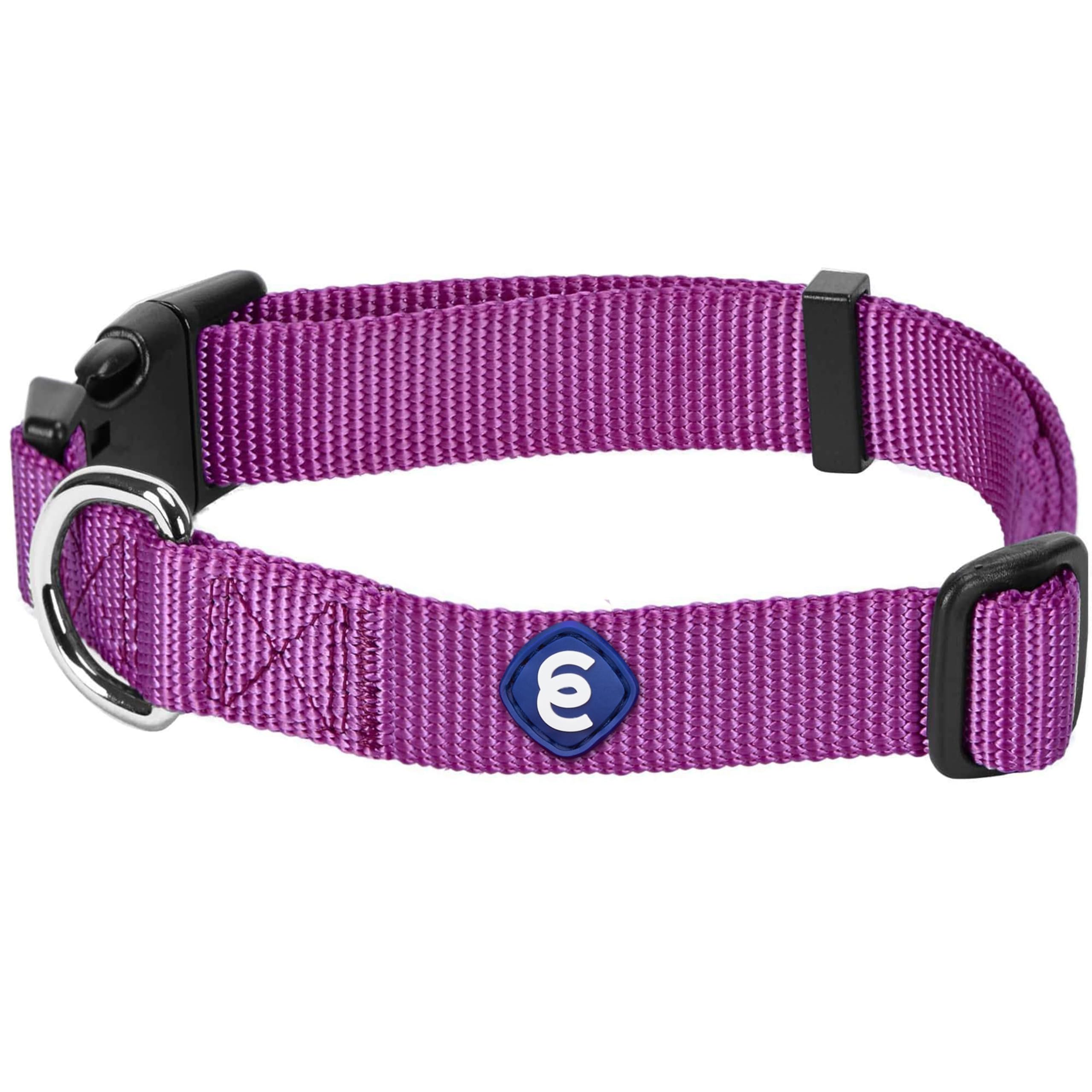 Blueberry Pet Essentials Matching Large Dog Collar | Adjustable Classic Solid Color Nylon Dog Collars For Large Dogs | Violet Do