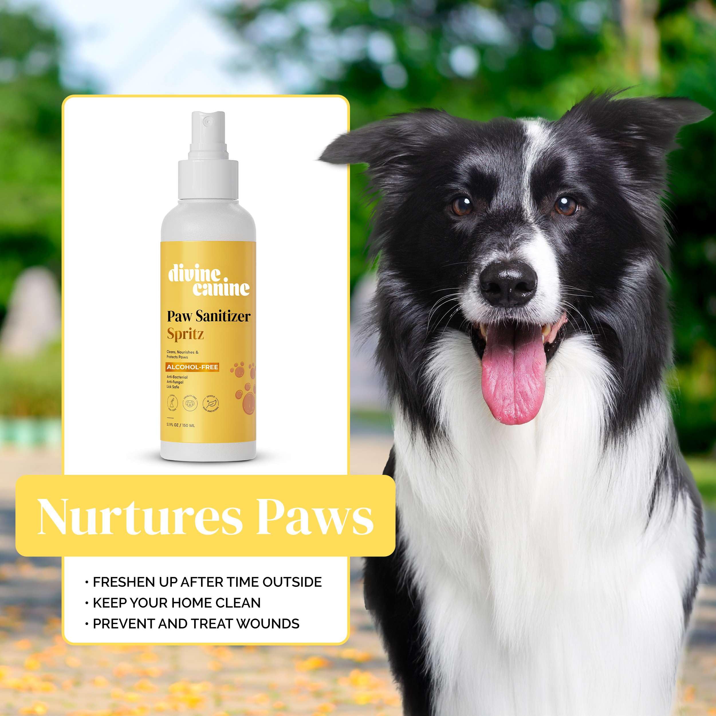 Dog Paw Cleaner - 5.1 Fl Oz of Alcohol Free Paw Sanitizer Spritz - Made with Aloe, Copaiba Oil, and Lemongrass Oil to Nourish an