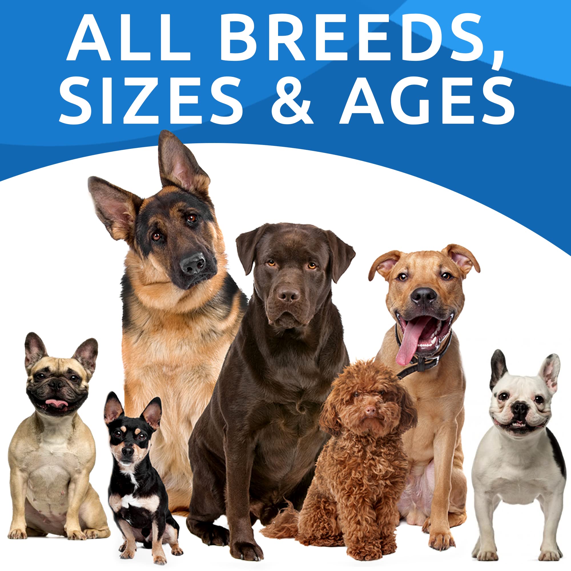 Dog Probiotics & Digestive Enzymes - Allergies & Itchy Skin + Gut Health - Pet Diarrhea Gas Treatment, Upset Stomach Relief Pill