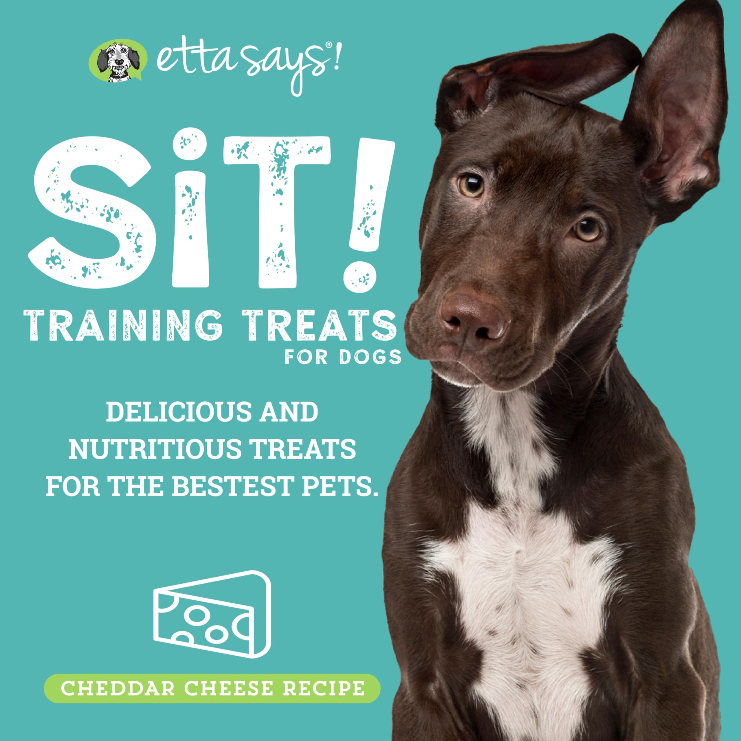 ETTA SAYS! Sit Cheese Training Treats for Dogs 16 Ounce Soft Dog Treats - Made in The USA Dog Treats, Limited Ingredients, Low C