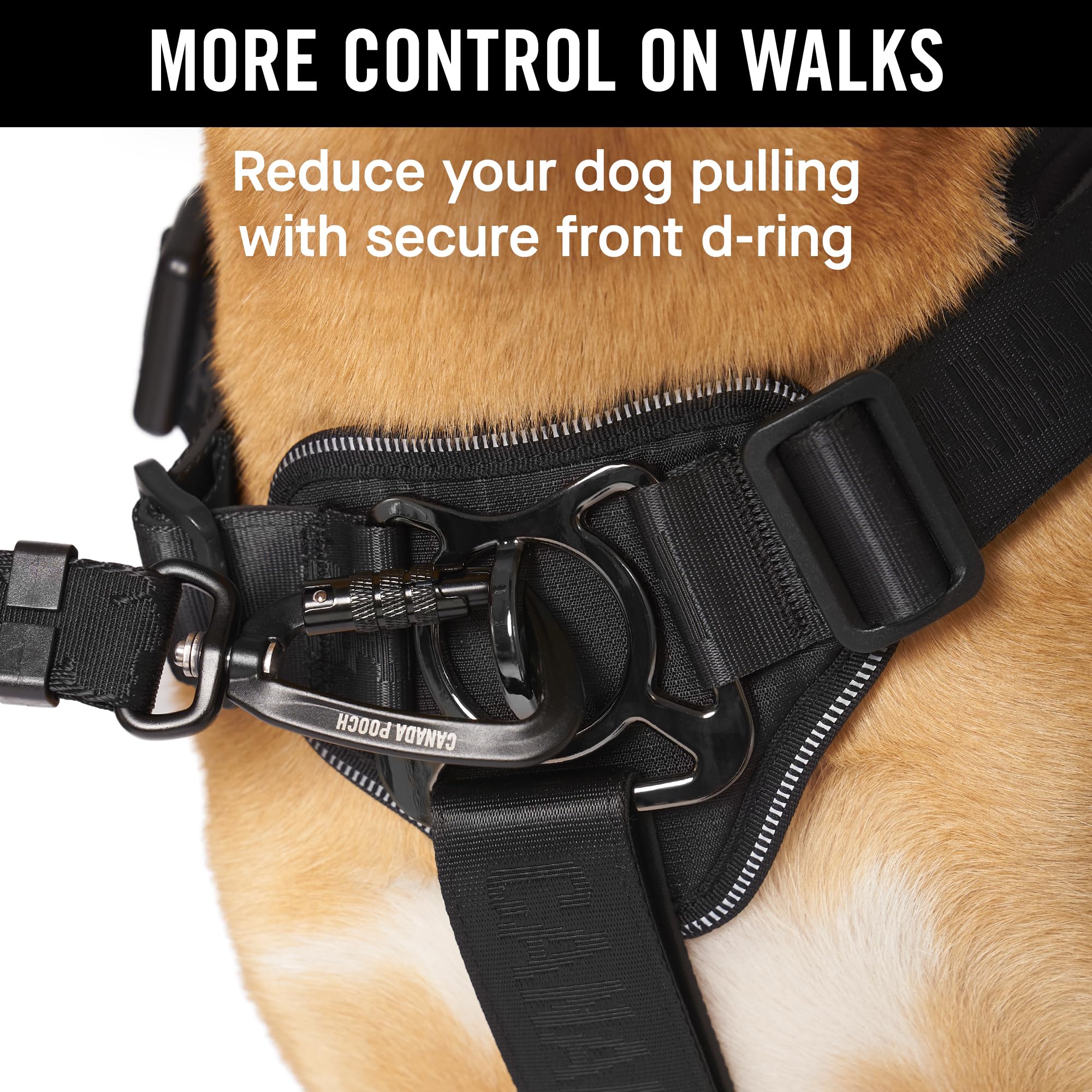 Canada Pooch Complete Control Dog Harness Black, Large Dubbulon Portatovaglioli In Metallo