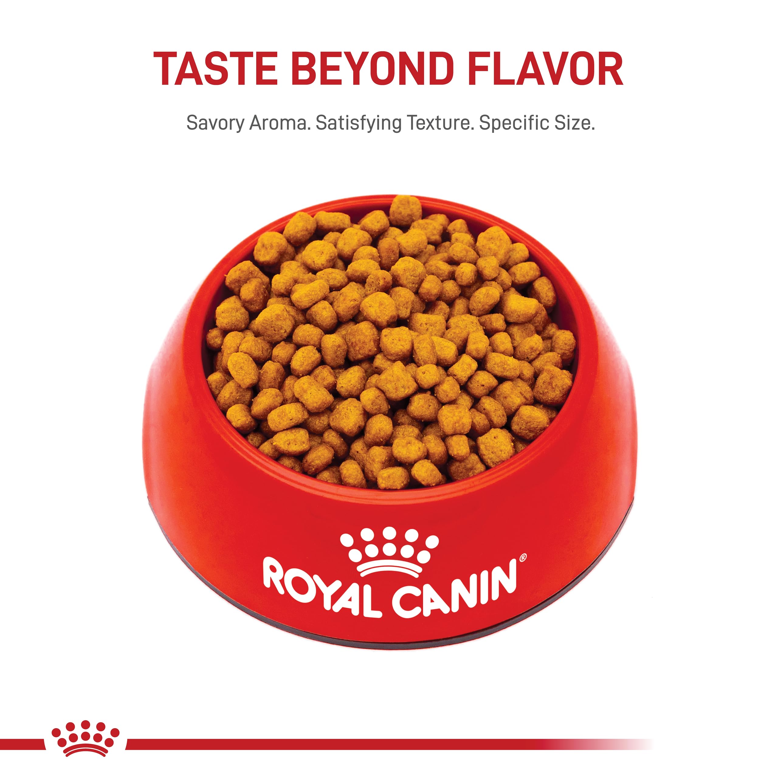 Royal Canin Chihuahua Adult Dry Dog Food, 10 lb bag