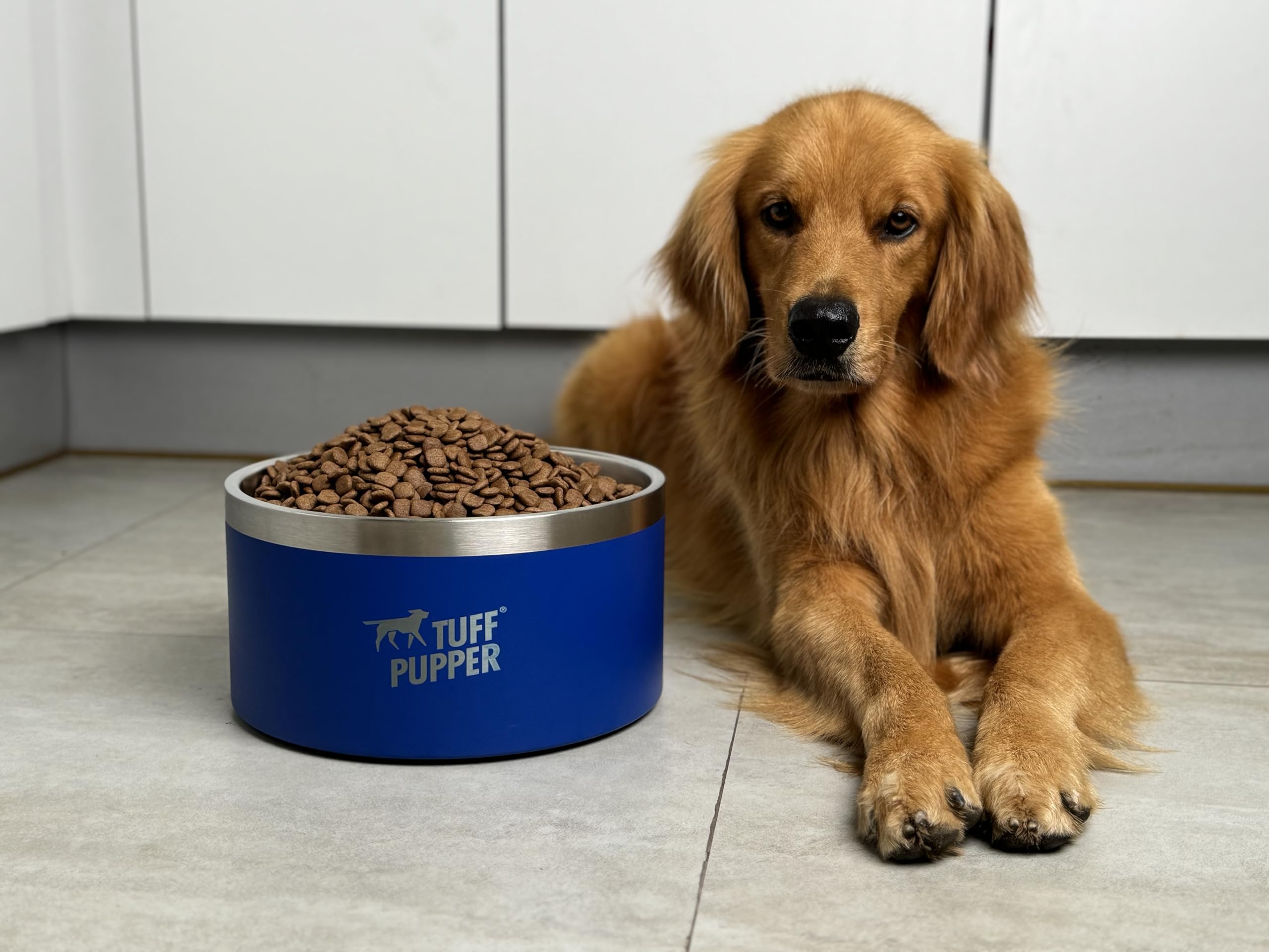 Tuff Pupper Heavy Duty Insulated Dog Bowl | Double Wall Stainless Steel Dog Food Dish | Non-Slip Spill Proof Dishwasher Safe Cat