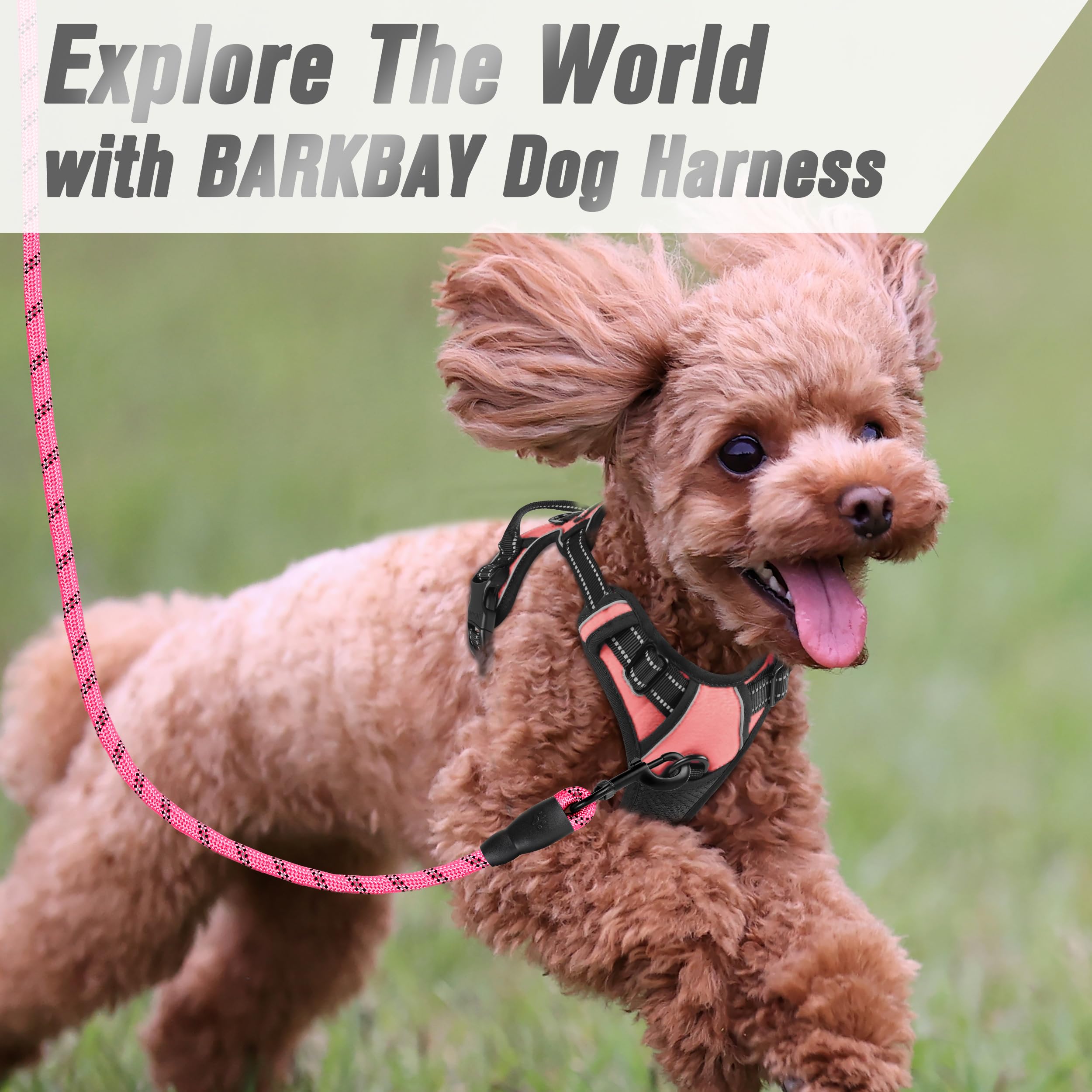 BARKBAY No Pull Dog Harness Front Clip Heavy Duty Reflective Easy Control Handle for Large Dog Walking(Light Pink,XS)