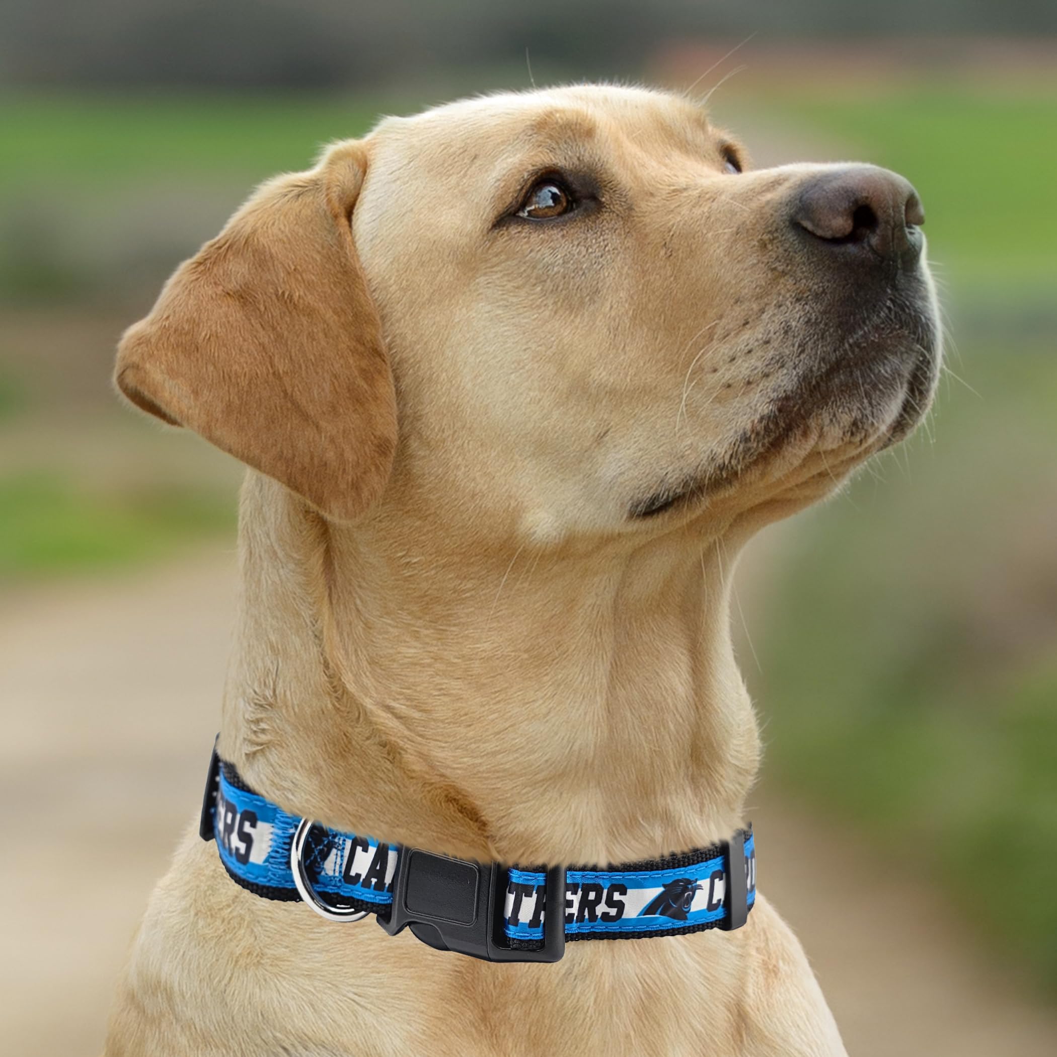 Pets First NFL Carolina Panthers Licensed PET COLLAR, Small - Heavy-Duty, Strong, and Durable Dog Collar. Available in 31 Footba