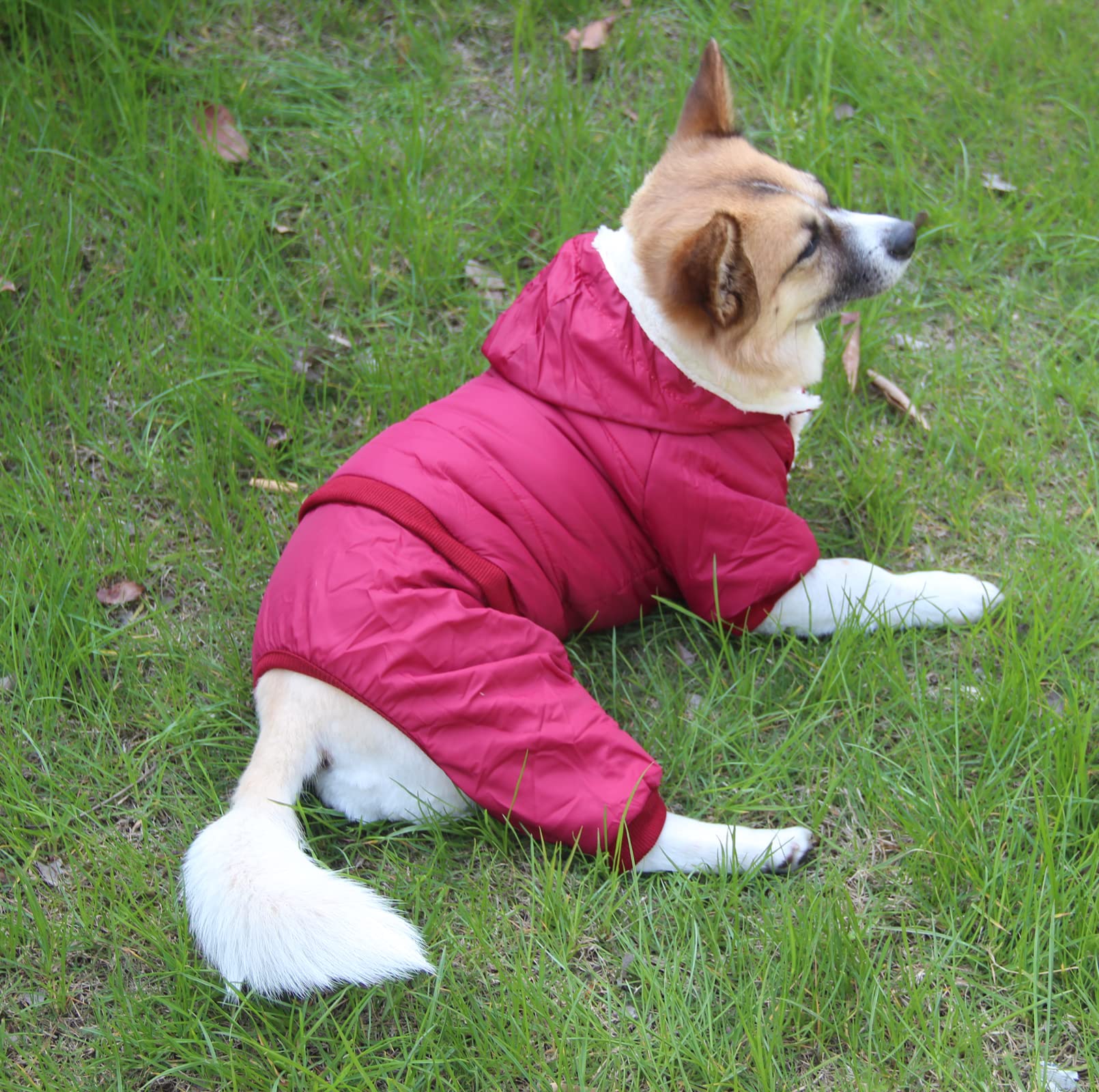 Joydaog Fleece Lined Dog Coat With Detachable Hood And Detachable Hind Legs,Warm Puppy Jacket In Winter(Red Xxl)