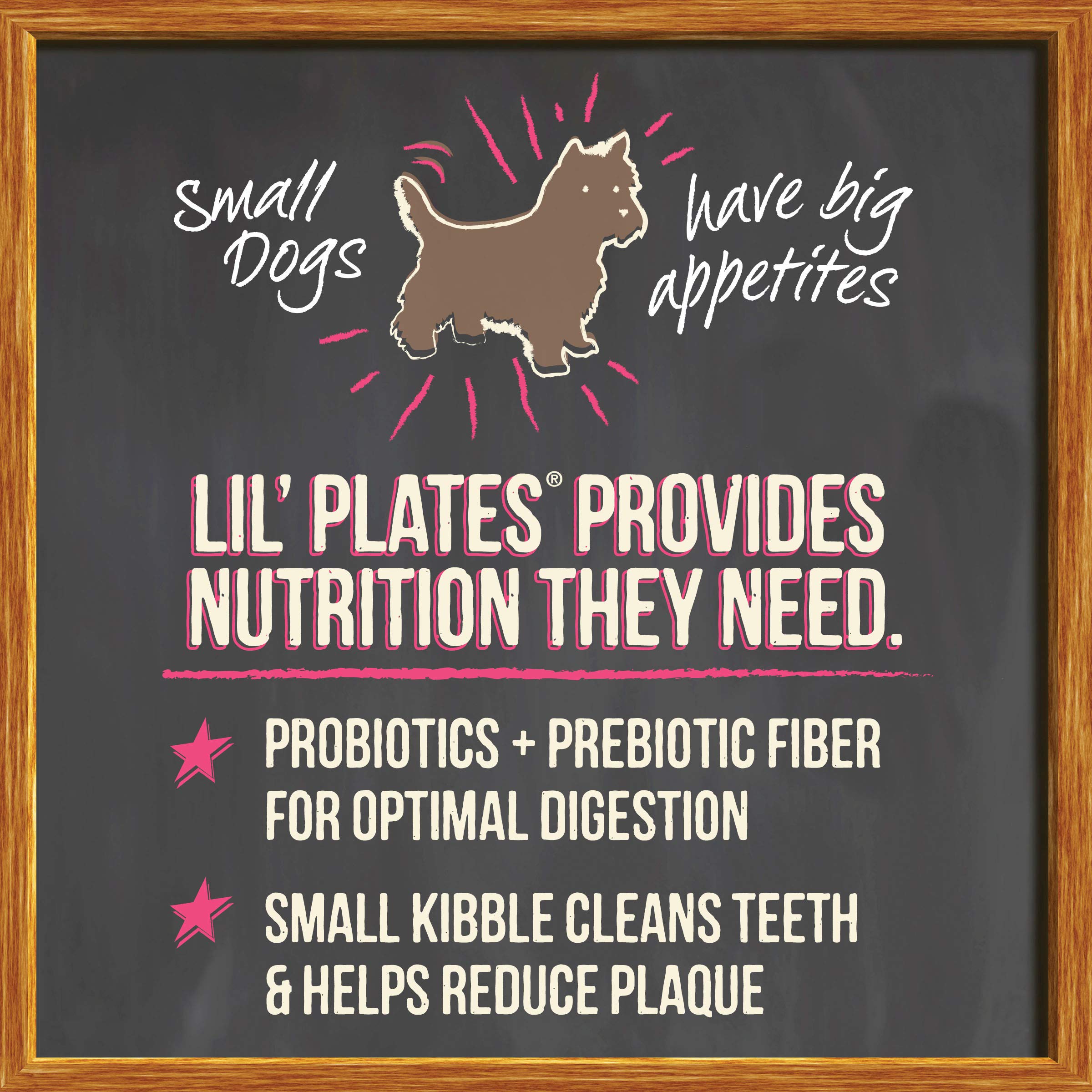 Merrick Lil Plates Premium Grain Free Dry Dog Food for Small Dogs, Real Salmon and Sweet Potato Kibble - 4.0 lb. Bag