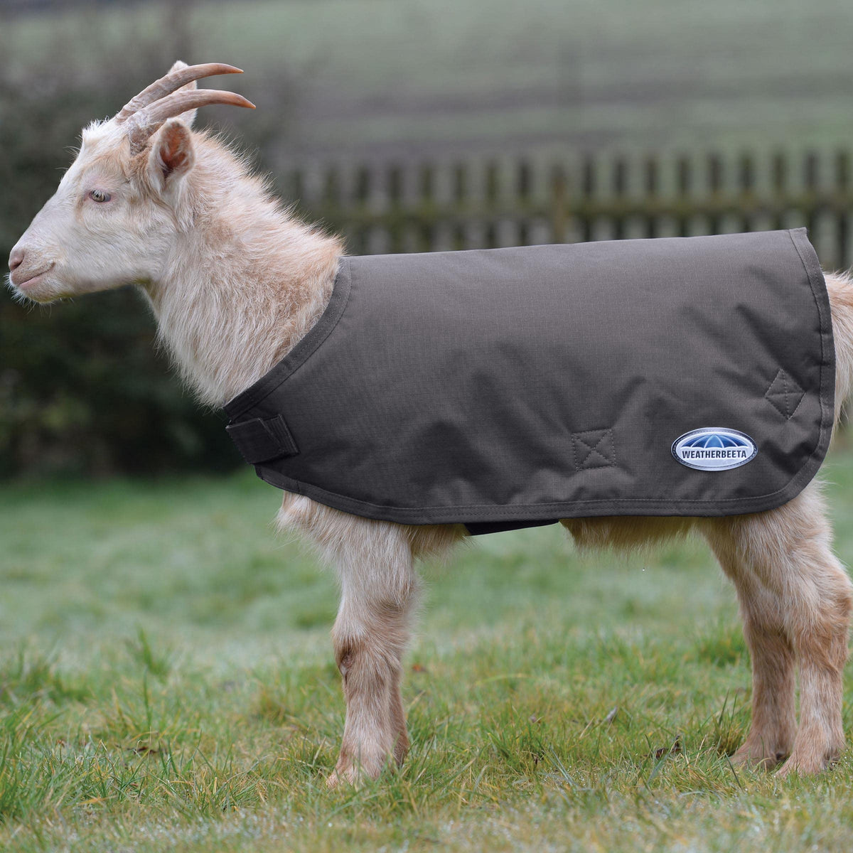 Weatherbeeta Goat Coat, Grey, Extra Large