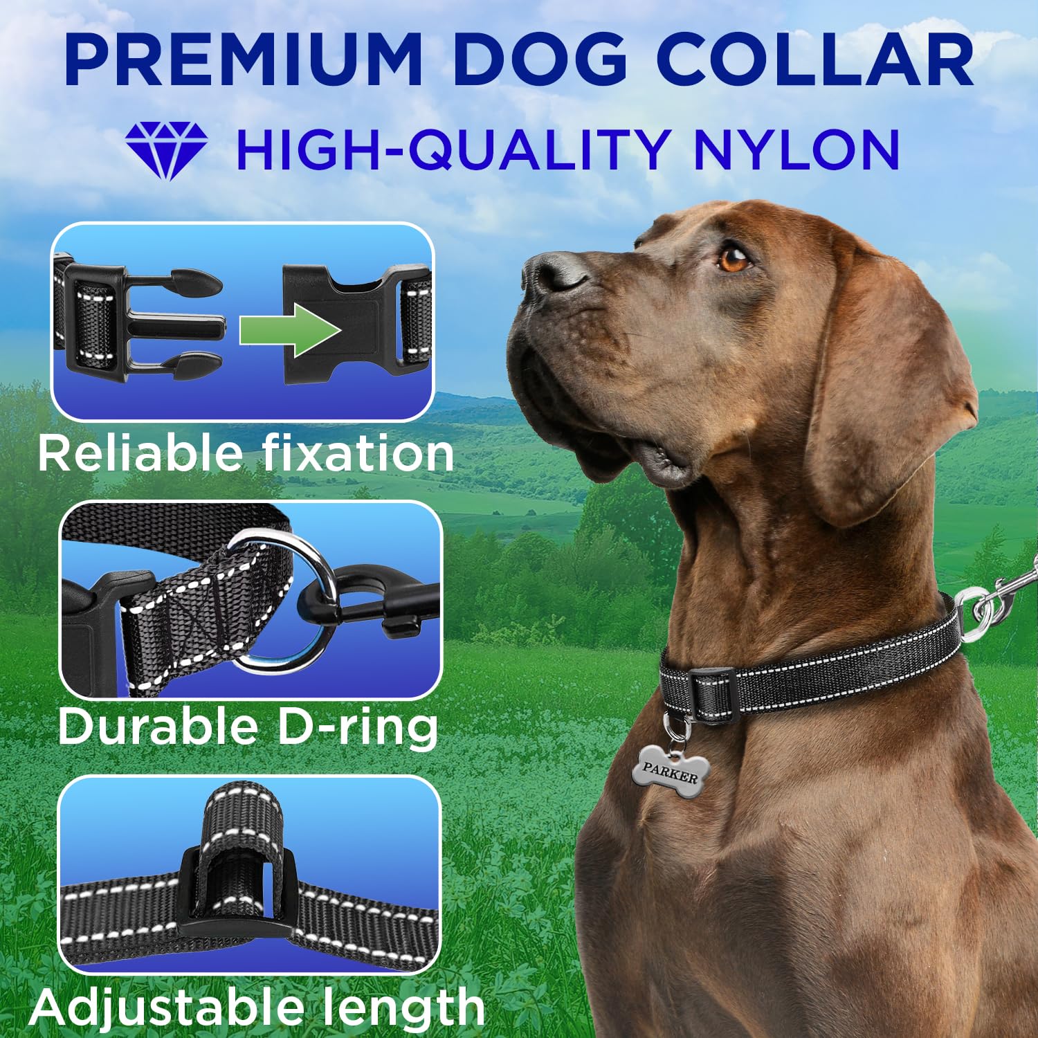 Teceum Reflective Dog Collar - Black - S - Basic Nylon Pet Collar - Quick Release Buckle - Fits Small, Medium And Large Dogs, Pu