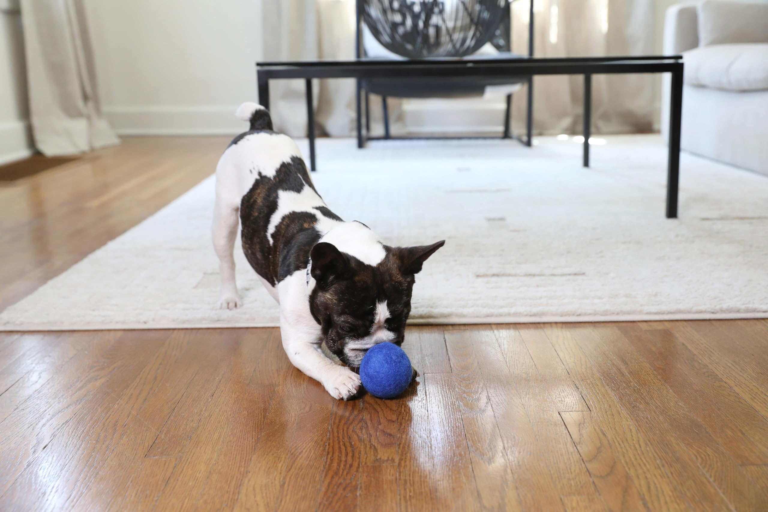 JW Wool-EE Ball Small (2 Pack) Handmade 100% Wool All Natural Dog Toy for Fetch