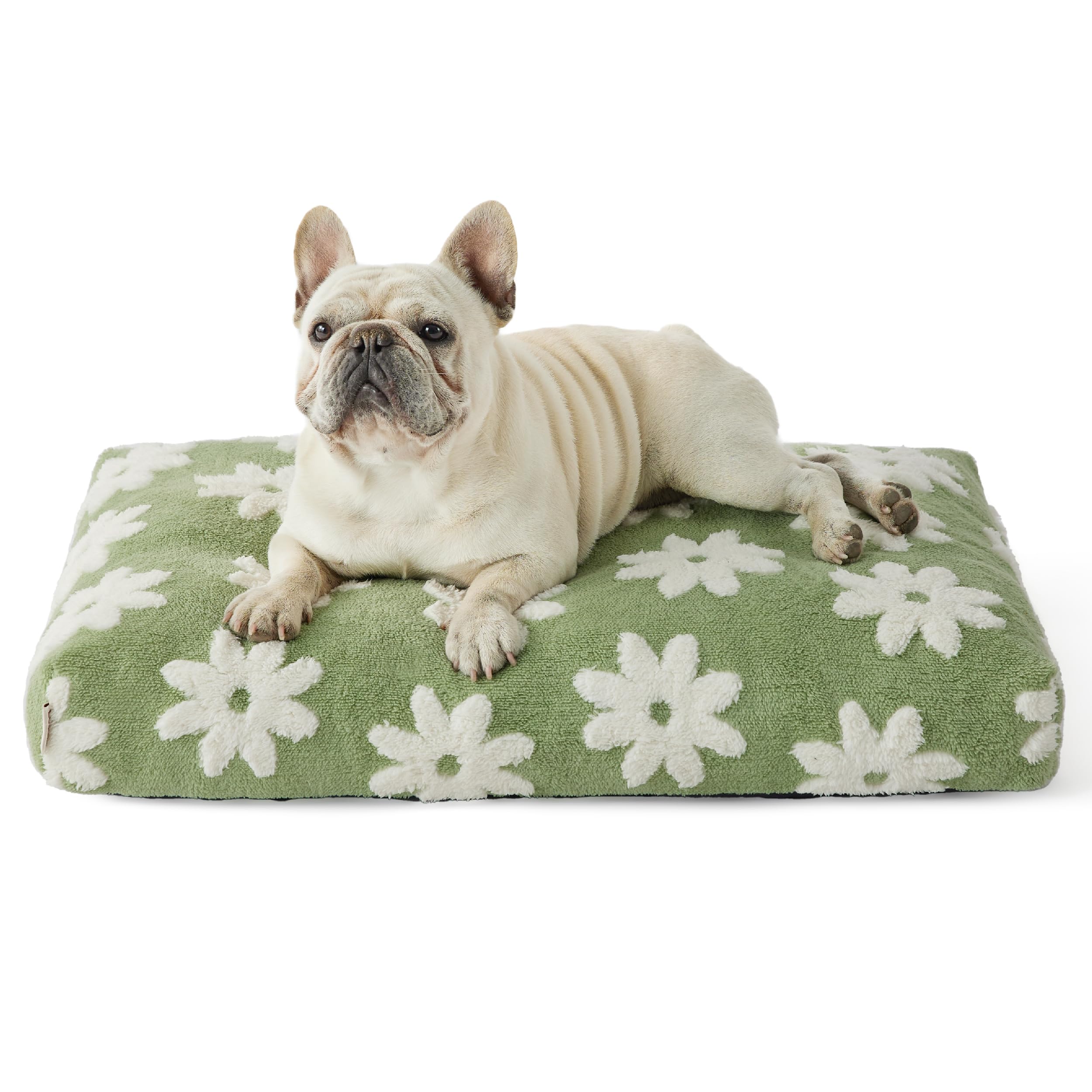 Lesure Dog Beds Medium Size-Thick Shredded Chopped Foam Pet Bed Indoor With Removable Cover, Cute Modern Fuzzy Plush & Anti Slip