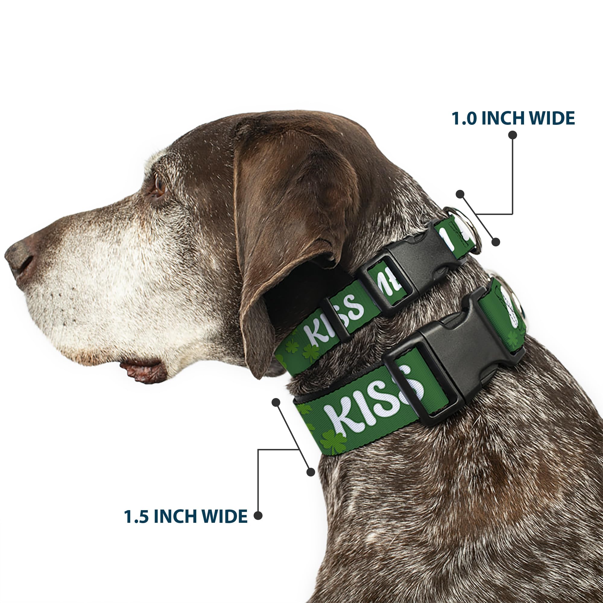 Buckle-Down 9-15' Kiss Me, I'M Irish! Clovers Green/White Plastic Clip Collar, Small