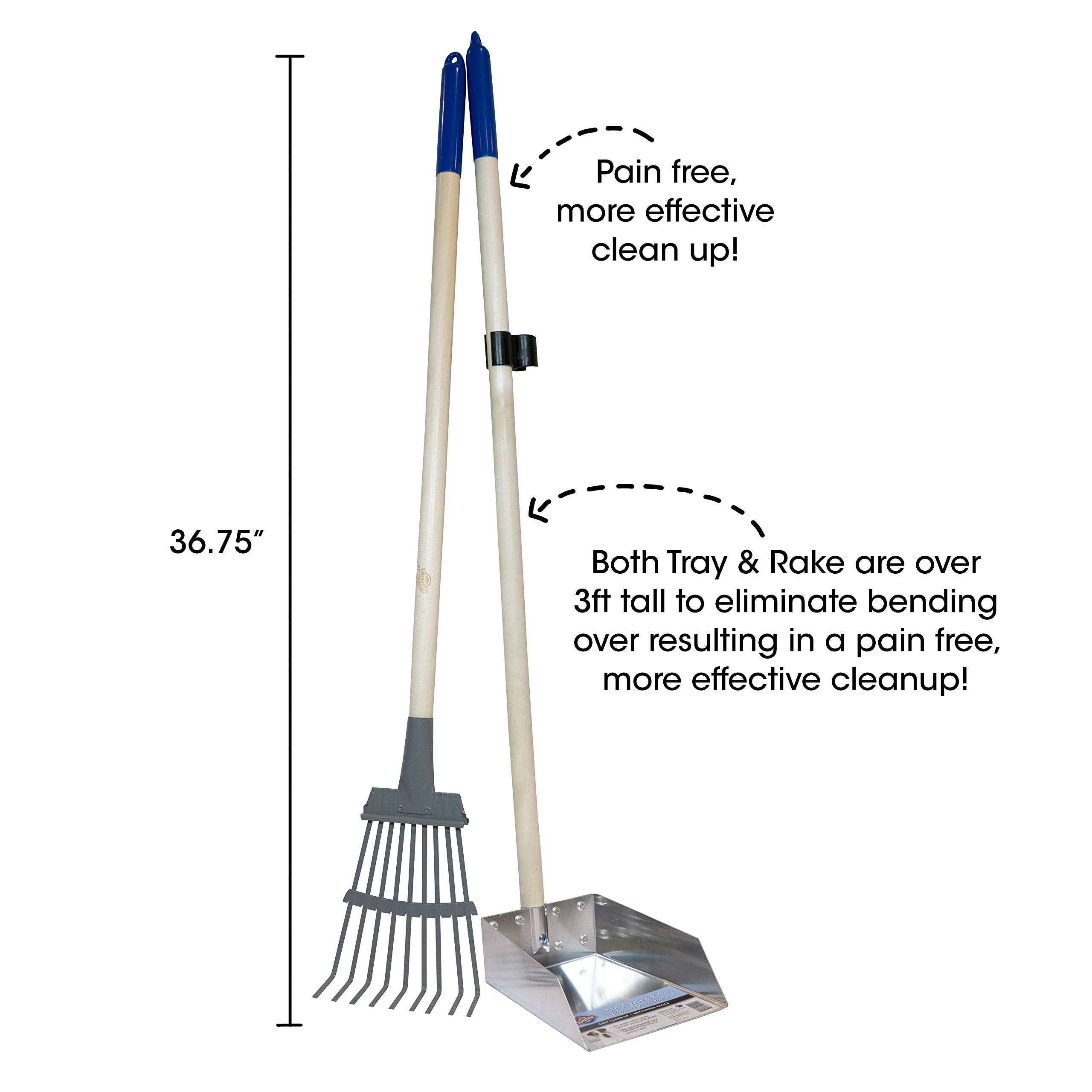 Spotty Wood Handle Pooper Scooper Durable Solid Metal Poop Tray With Rake 36.75' Long Handled Scoop | Great For Large Or Small Dogs | No Assembly Required | Better For The Environment Than Plastic