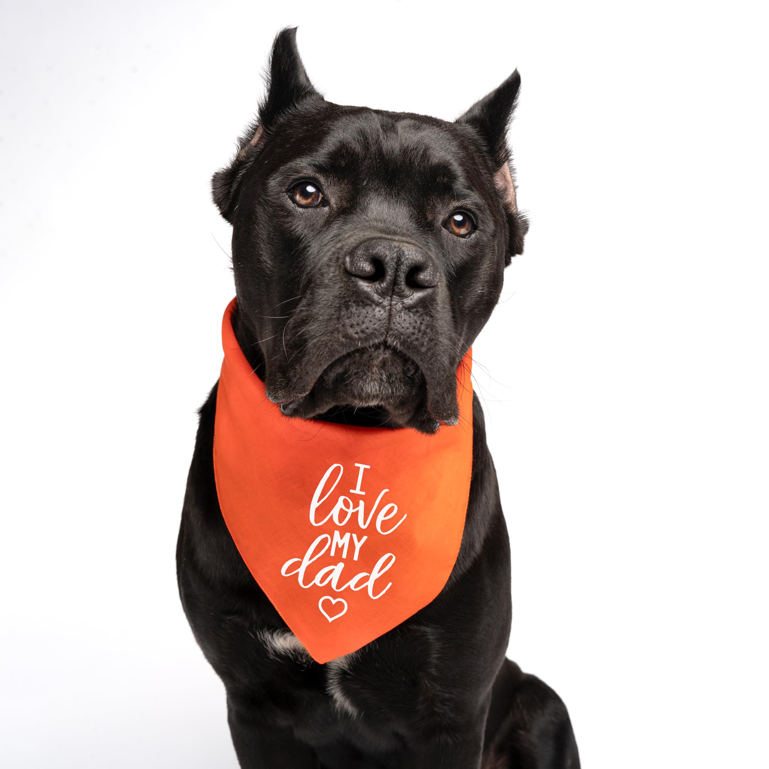 I Love My Dad Valentine'S Day, Father'S Day Dog Bandana (Black, Os 178)