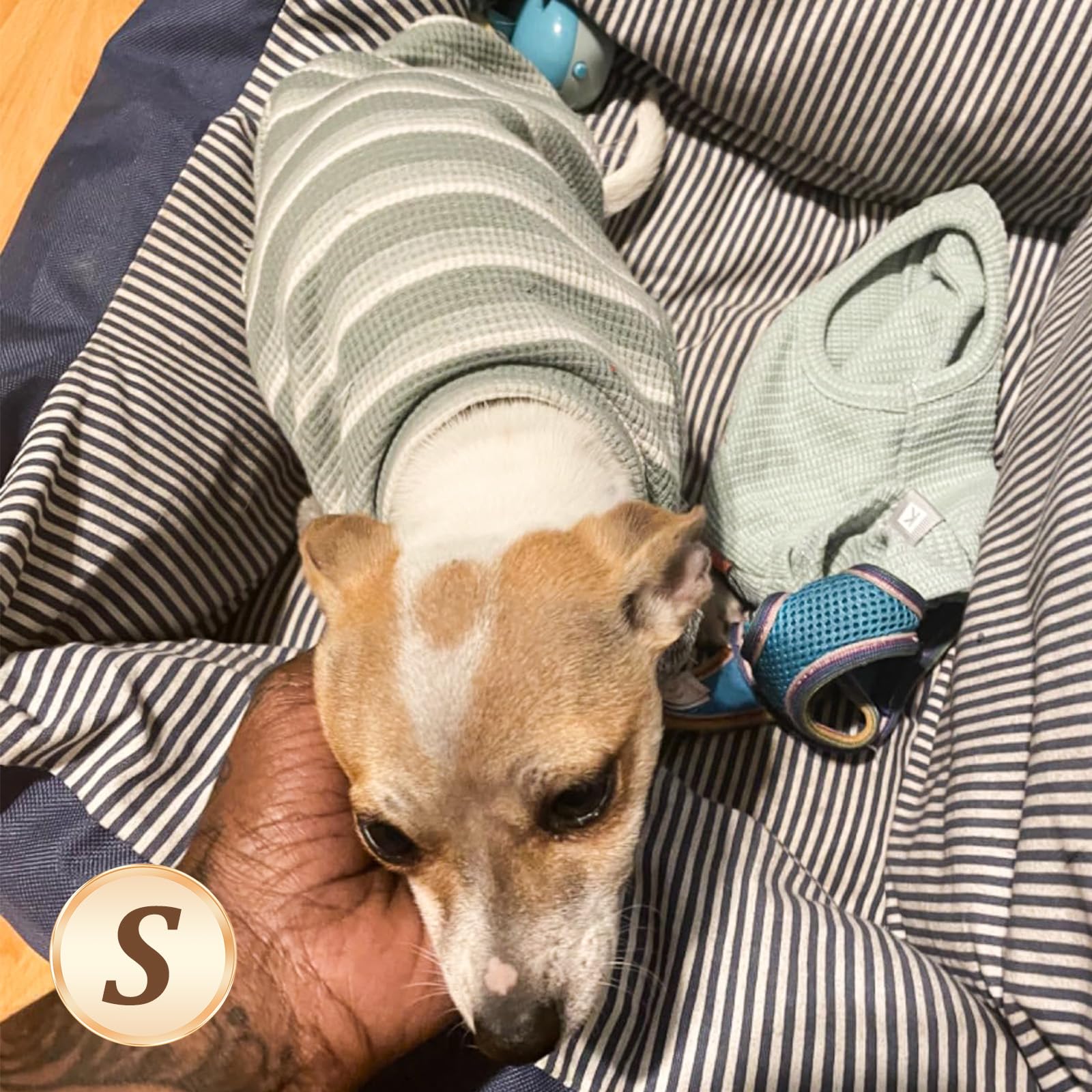 Kyeese 2Pack Waffle Dog Shirts For Small Dogs Stretchy Dog T-Shirts Lightweight Dog Tank Top Sleeveless Striped Dog Shirt Vest B