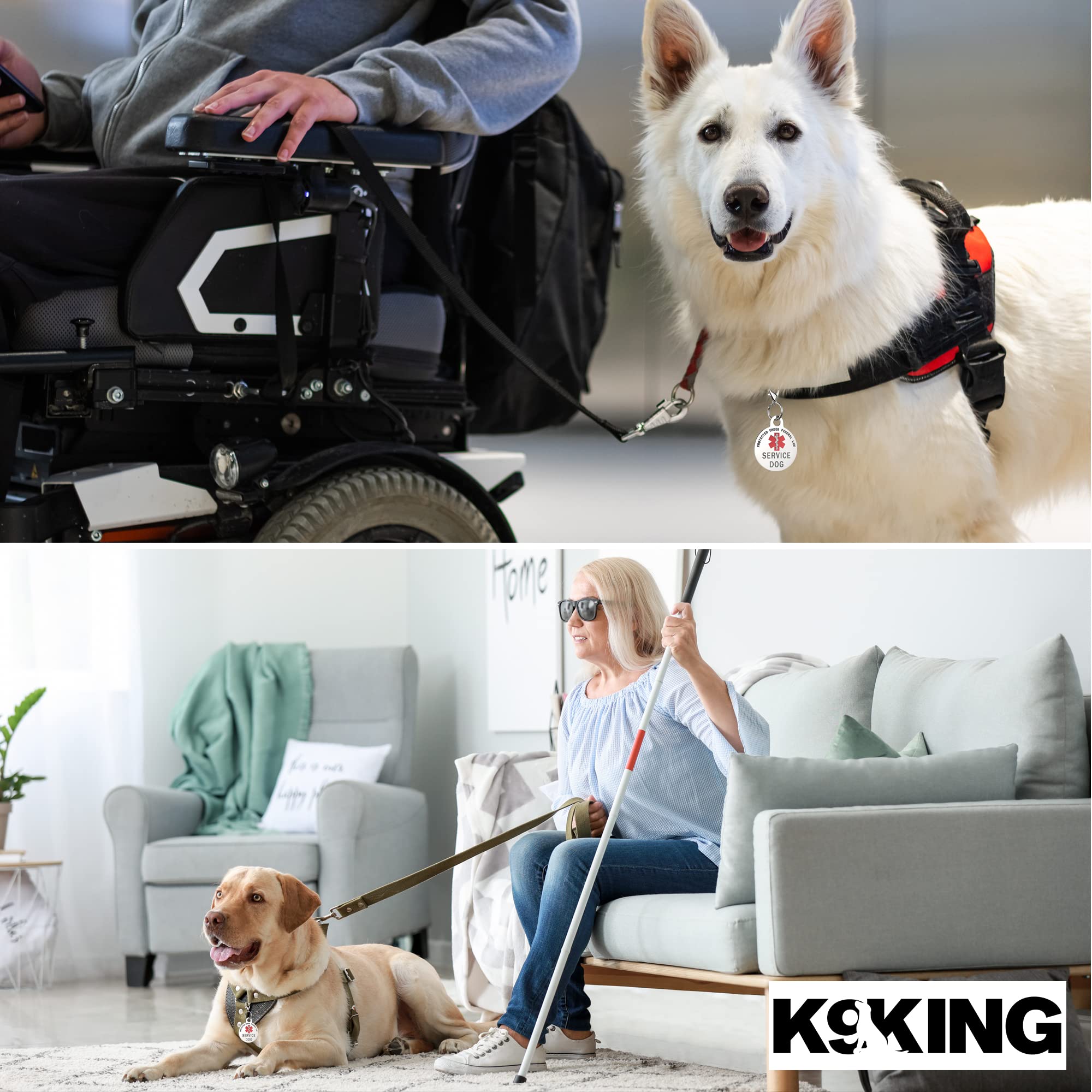 Service Dog Tag Double Sided With Federal Protection & Red Medical Alert Symbol | 1.25 Inch Durable Pet Id Tags | Easily Attach