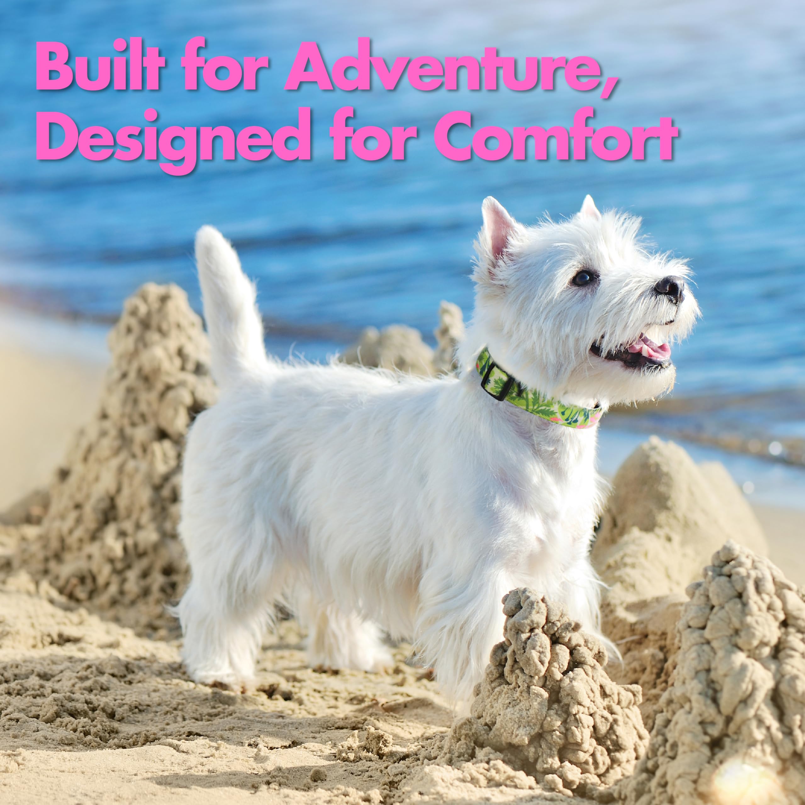 Jc House Dog Collar For Large Dogs With Reflective Logo And Soft Padded Neoprene,Summer Tropical Leaf Design,Adjustable,Lightwei