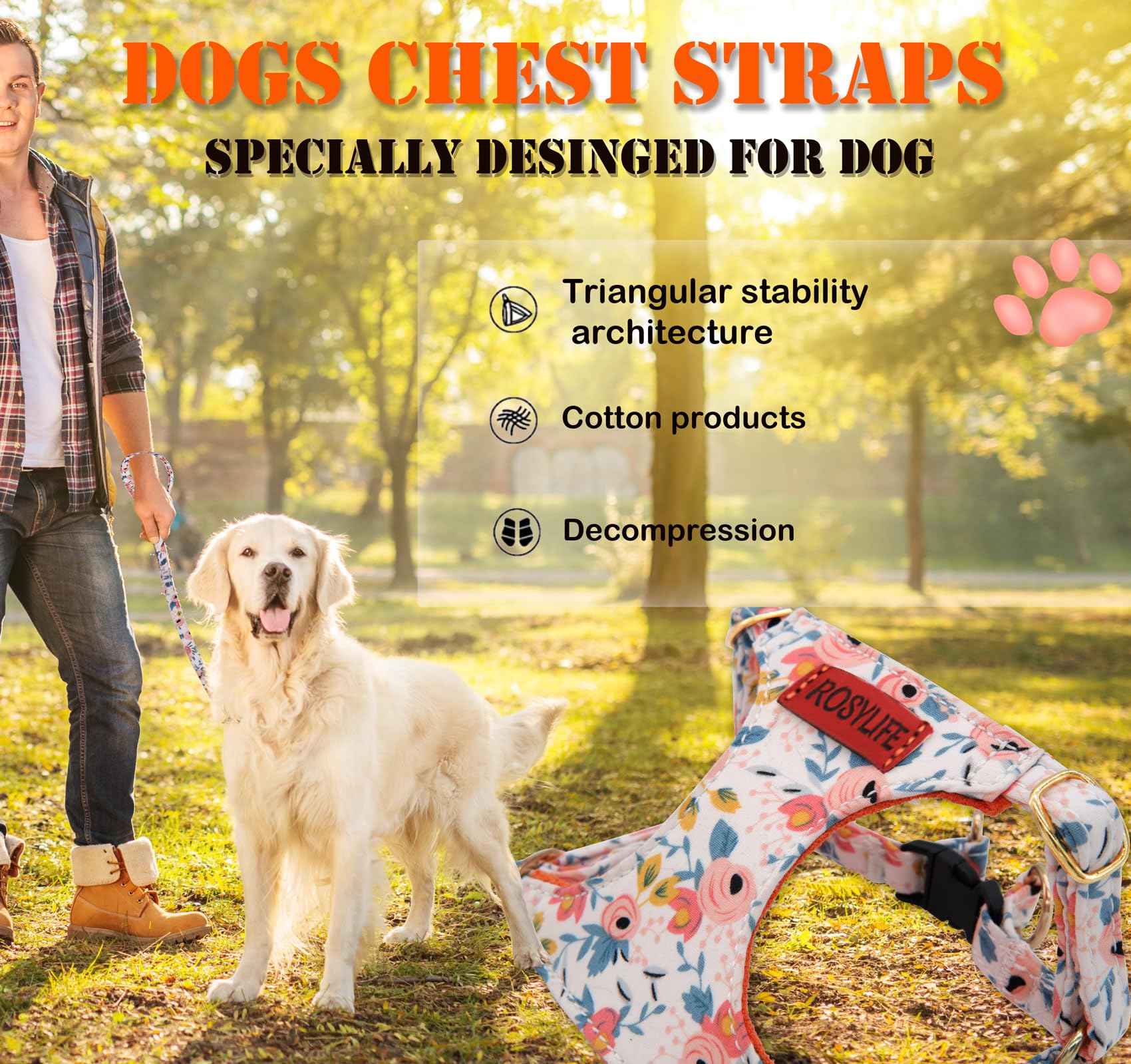 No Pull Dog Harness Adjustable Small And Leash Set, Lightweight And Soft Dog Harness No Choke Escape Proof Pet Harness Vest (Ora