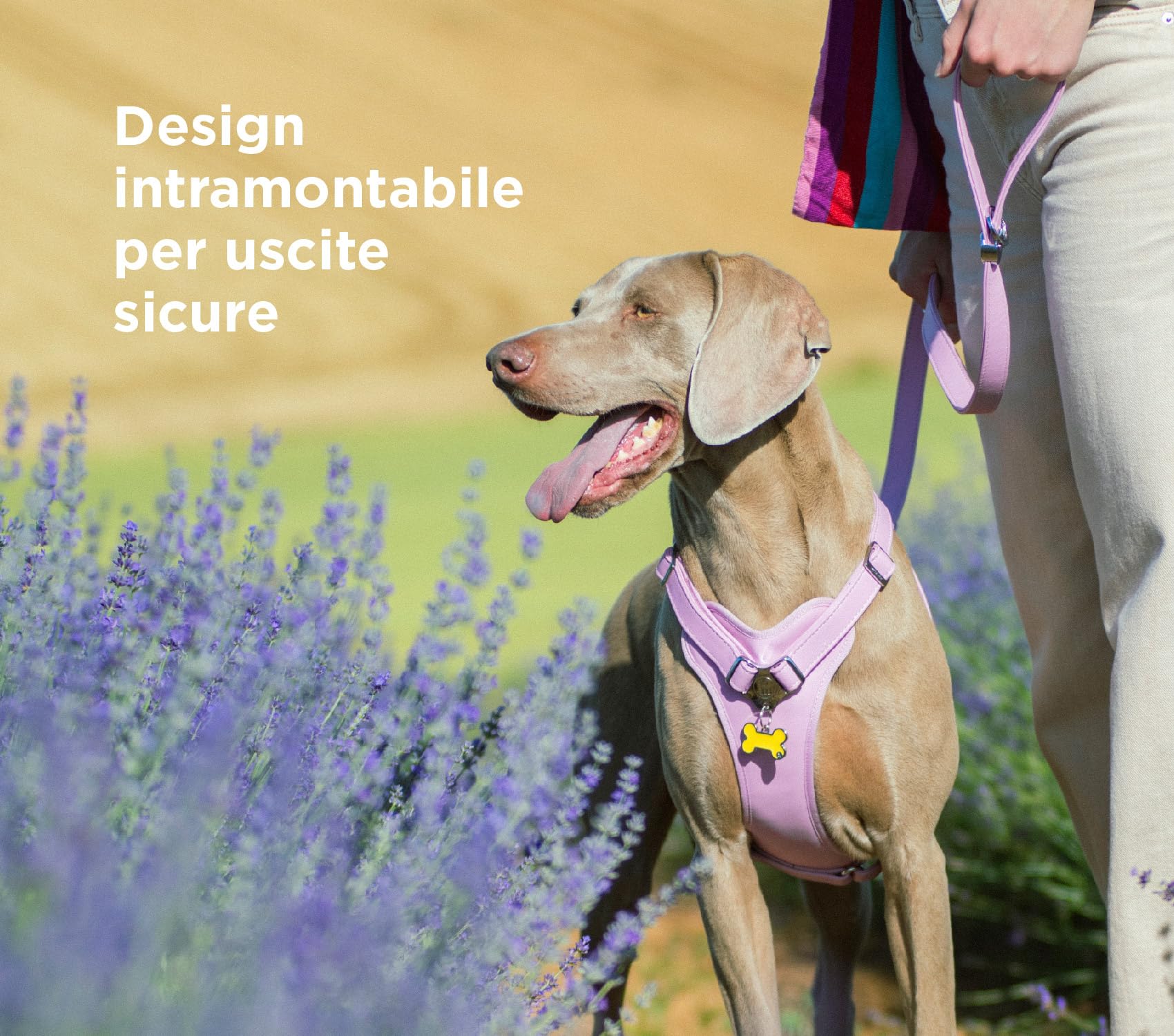 My Family Personalized Pet Id Tag Made In Italy, Small Lilac Bone, Free Engraving, Hand Enamelled In Metal, Basic Handmade Colle