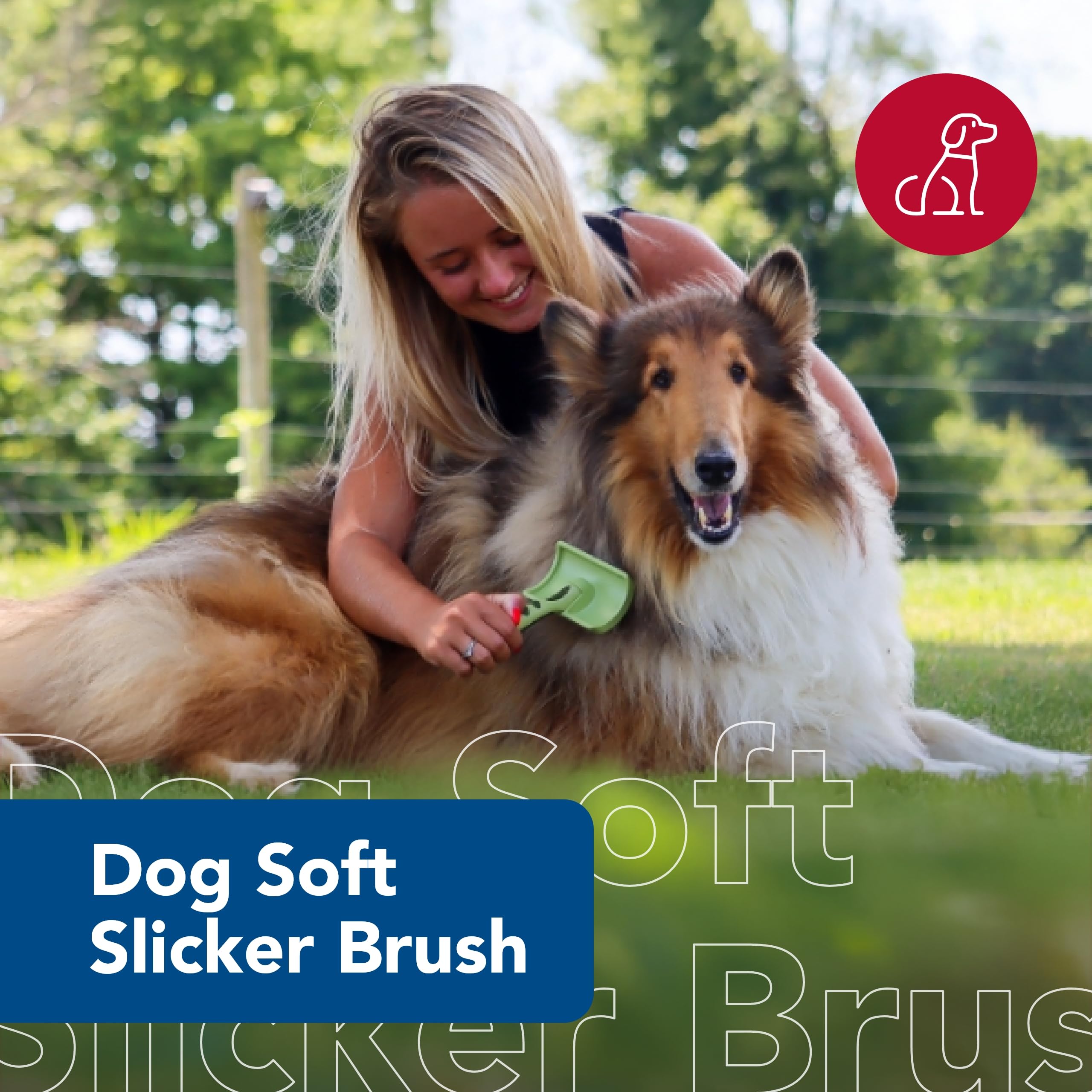 Coastal Pet Safari Dog Soft Slicker Brush - Dog Grooming Brush For Shedding - For Dogs With Short, Medium And Long Hair - Medium - 6.25' X 3.5'