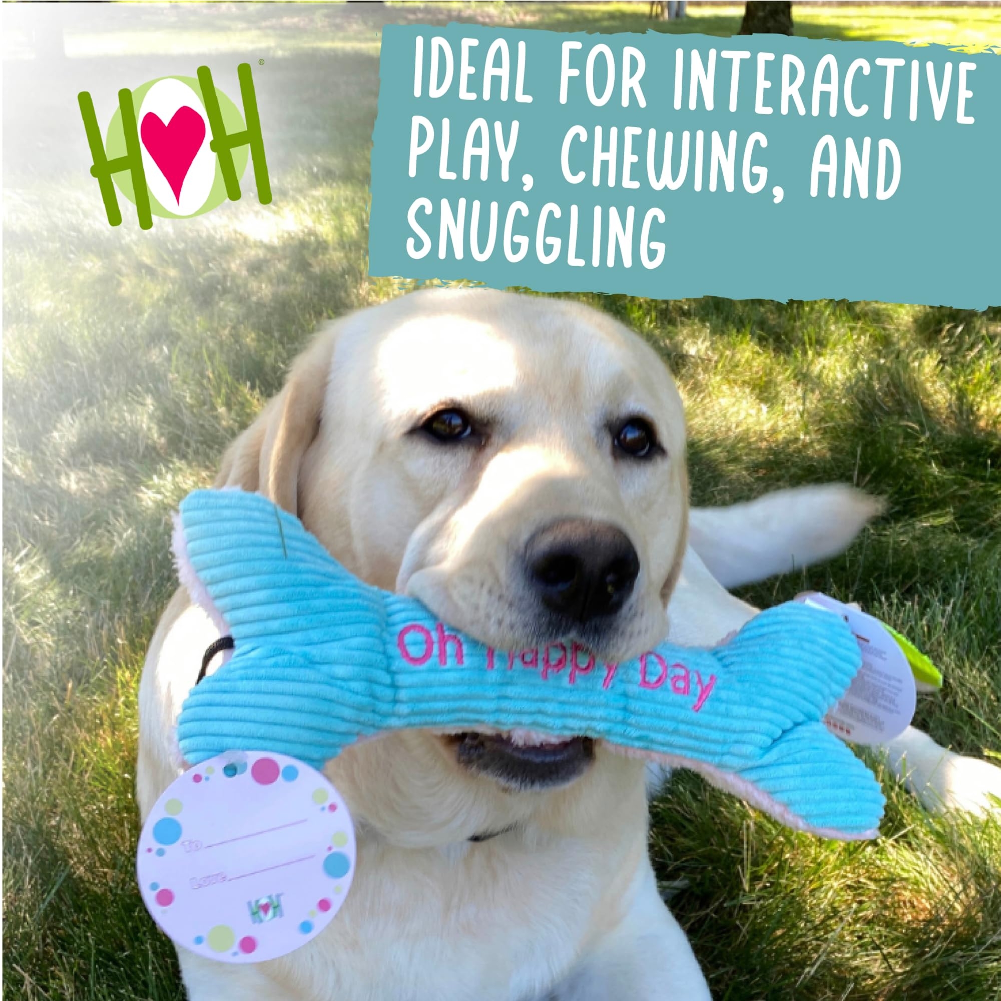 Hugglehounds Plush Dog Toy - Fuzzy Birthday Dog Toy, Dog Toys, Plush Soft Fleece, Interactive Durable Stuffed, For Small And Lar