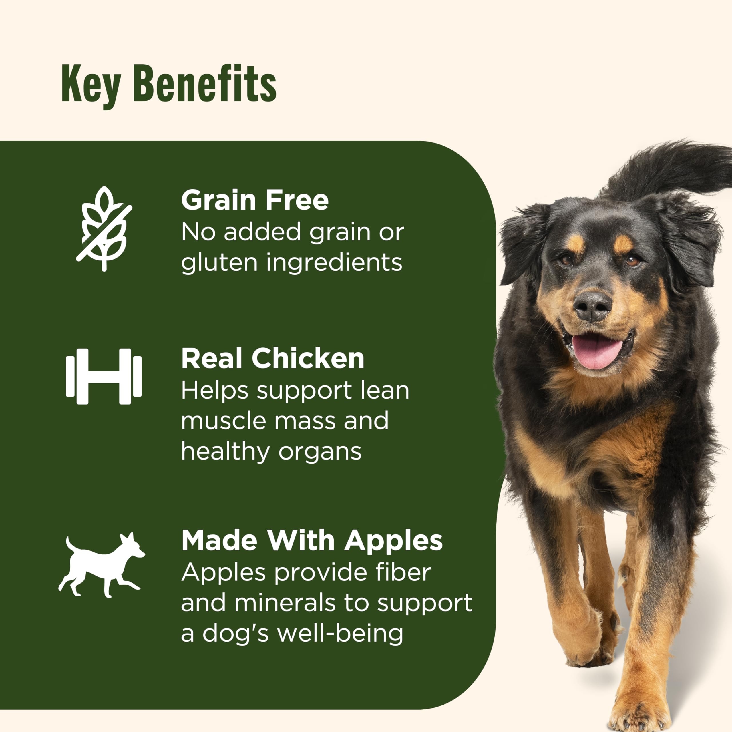 Nutrish Grain Free Real Chicken & Apple Recipe Premium Pat   Wet Dog Food, 13 oz. Can, 12 Count, Packaging May Vary (Rachael Ray