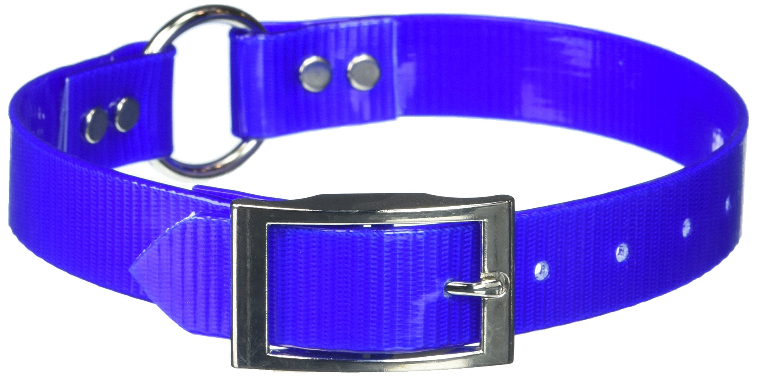Omnipet Sunglo Ring-In-Center Dog Collar, 1' Wide, Blue, Fits 16'- 19.5' Neck Sizes, Vibrant Colors & Tough Construction For 