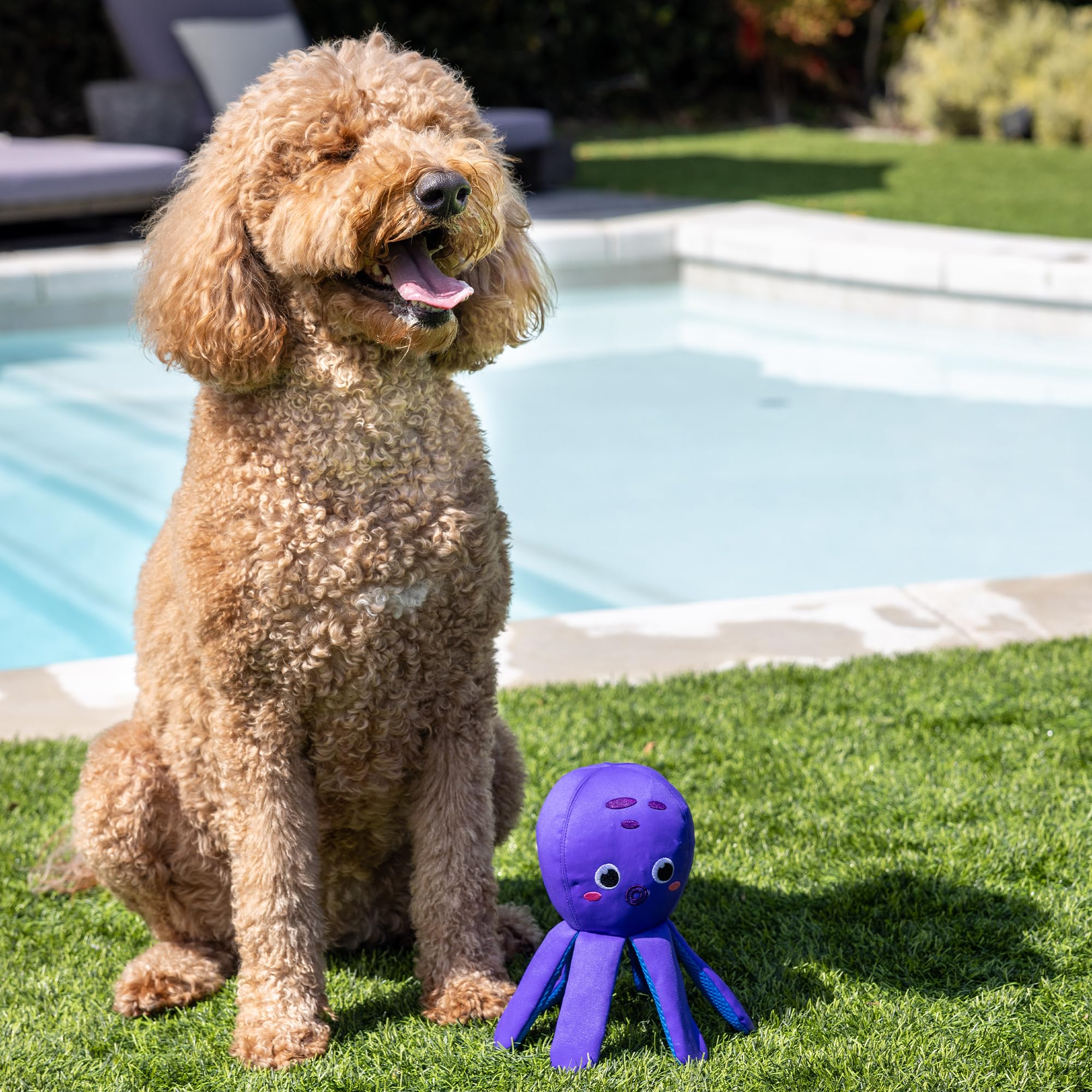 Fringe Studio ''Bubbles Floating Dog Toys, Pet Shop Collection (640003)