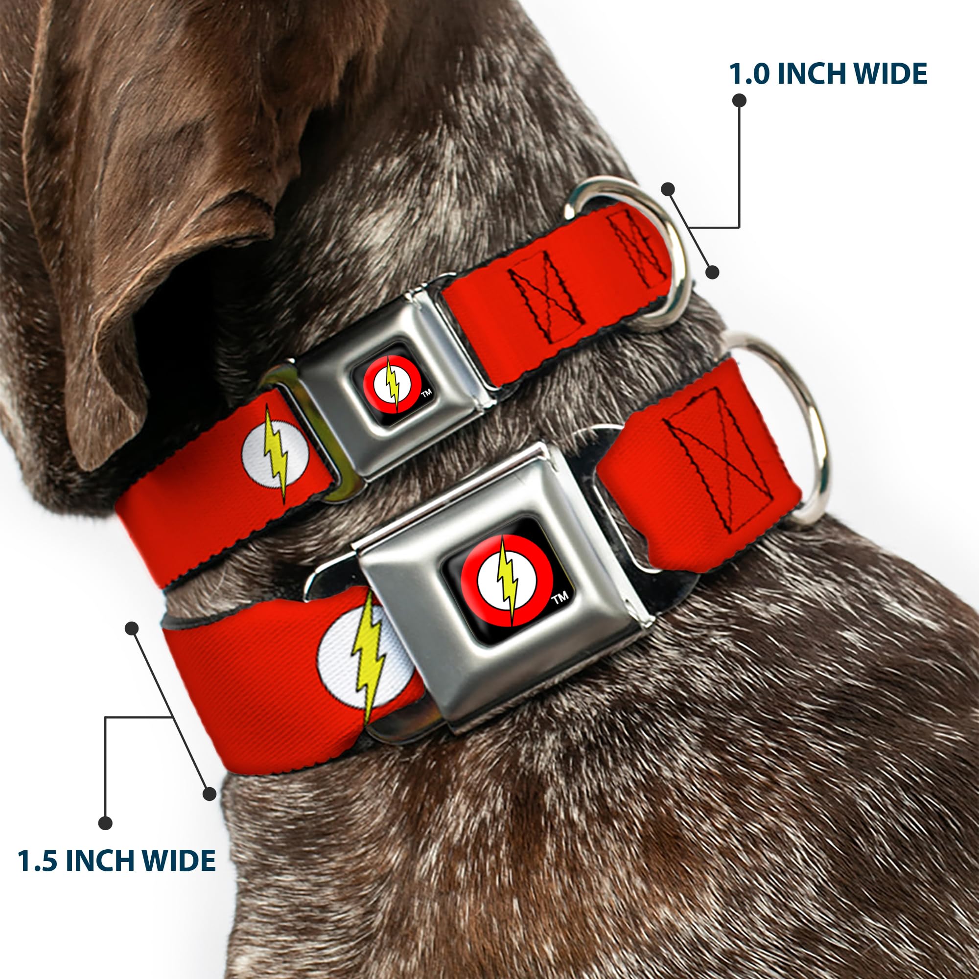 Dog Collar Seatbelt Buckle Flash Logo Red White Yellow 9 To 15 Inches 1.0 Inch Wide