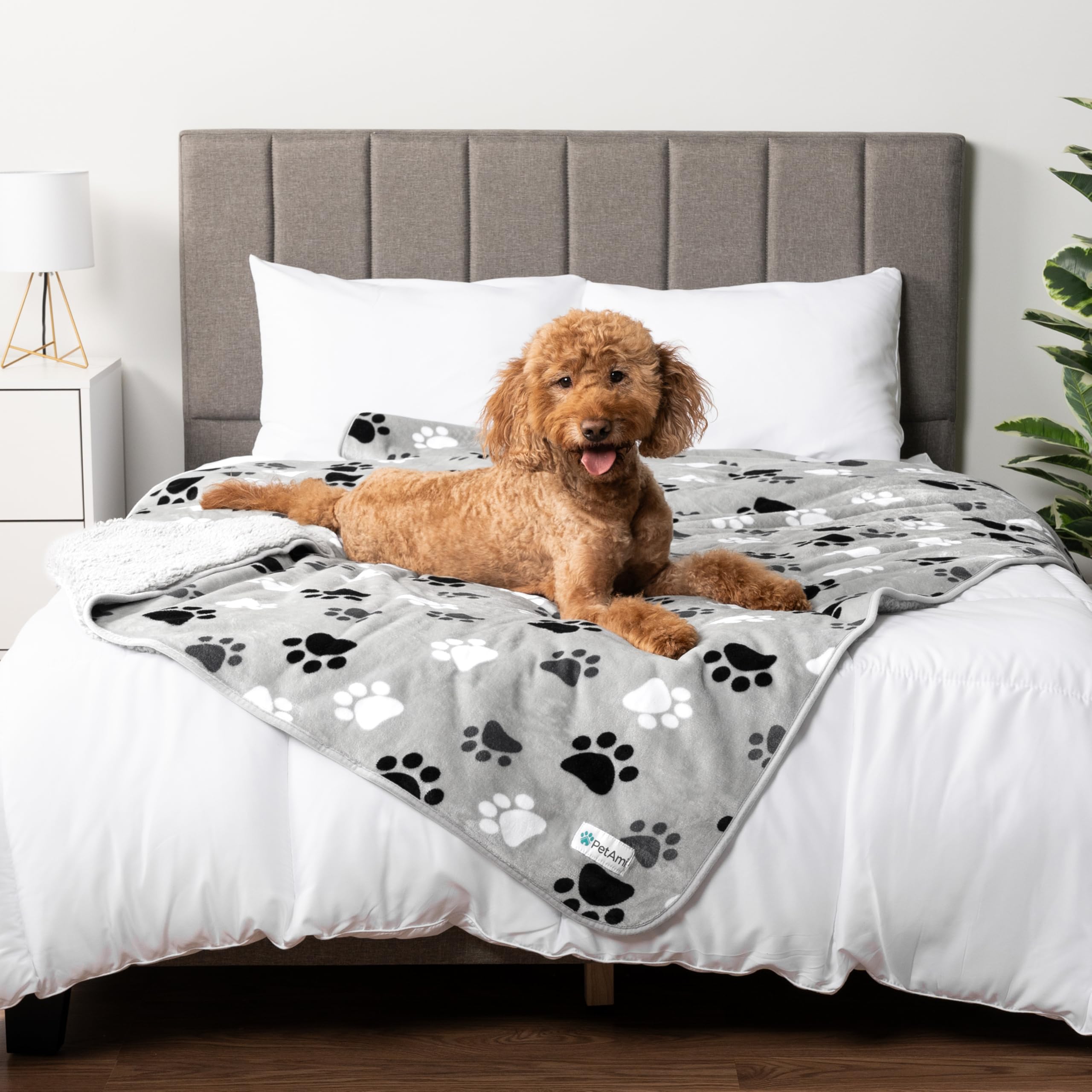 Petami Waterproof Dog Blanket For Medium Large Dogs, Pee Proof Pet Blanket For Bed Couch, Reversible Water Proof Blanket For Puppy Indoor Cat, Soft Dog Pee Crate Cover Washable, 60X80 Paw Gray