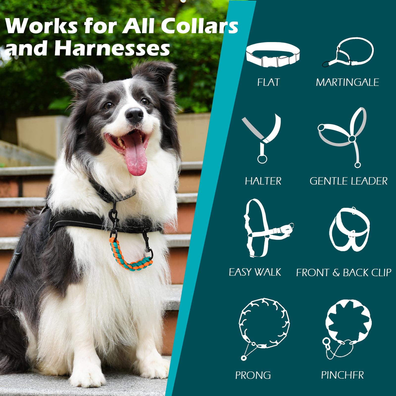 Petbonus Dog Collar Safety Clip, Handmade Backup Safety Strap For Dog Harness, Prong Collar, Pinch Collar, Double Ended Clasp Le