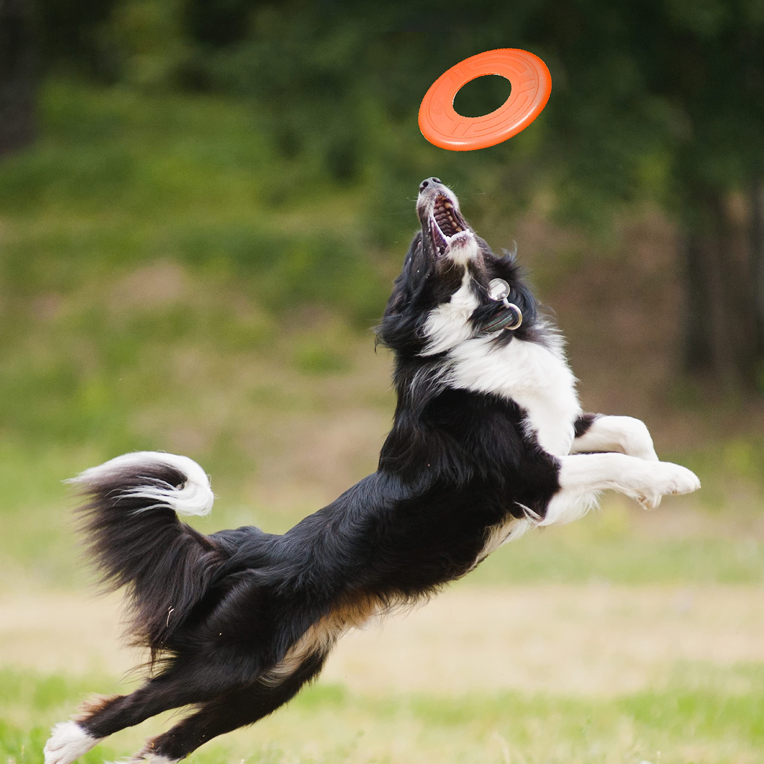 Nerf Dog 10in Atomic Flyer - Orange, One-Size-for-Most - Durable Dog Toy for Fetch and Play