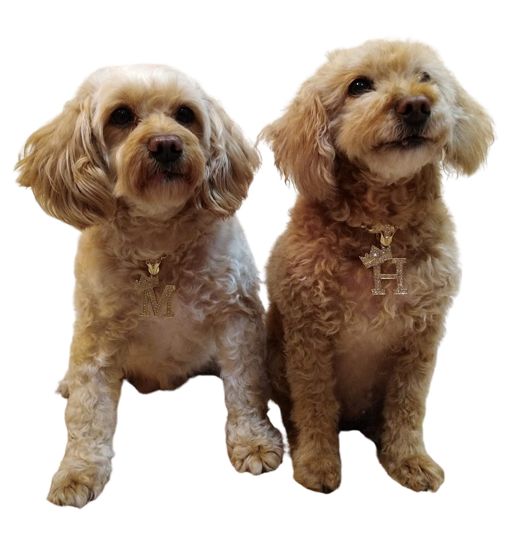 Ba Unique Fashion Initial Letter Cuban Chain Dog Chain Pet Chain Pet, Cat, Puppy Necklace (A, 30)