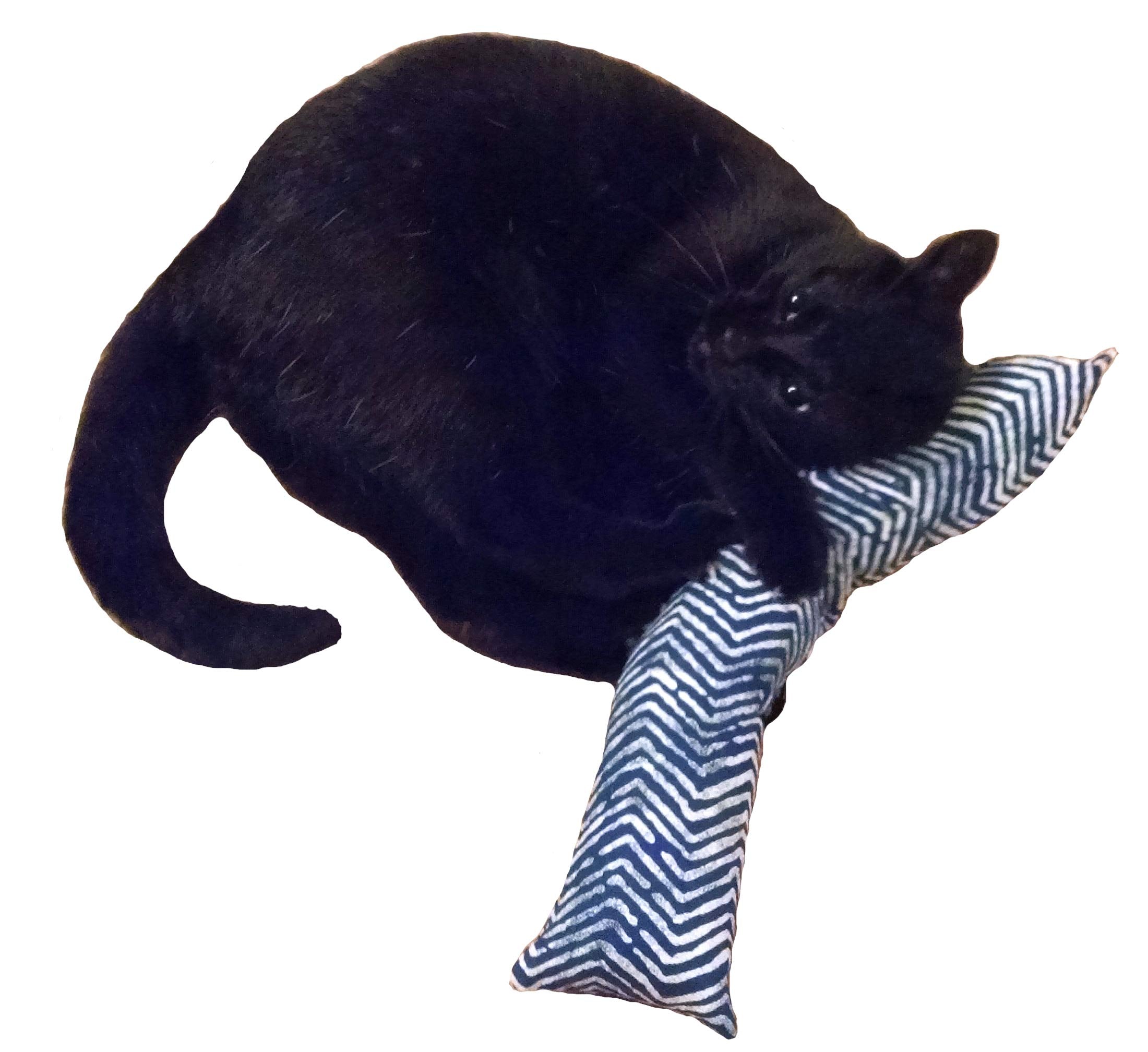 West Coast Pet Products 15 Catnip Cat Kicker Toys/Kitty Kick Sticks/Cat-Nip Kick Sticks (Blue) (Kickers Filled With 1 Oz Premi