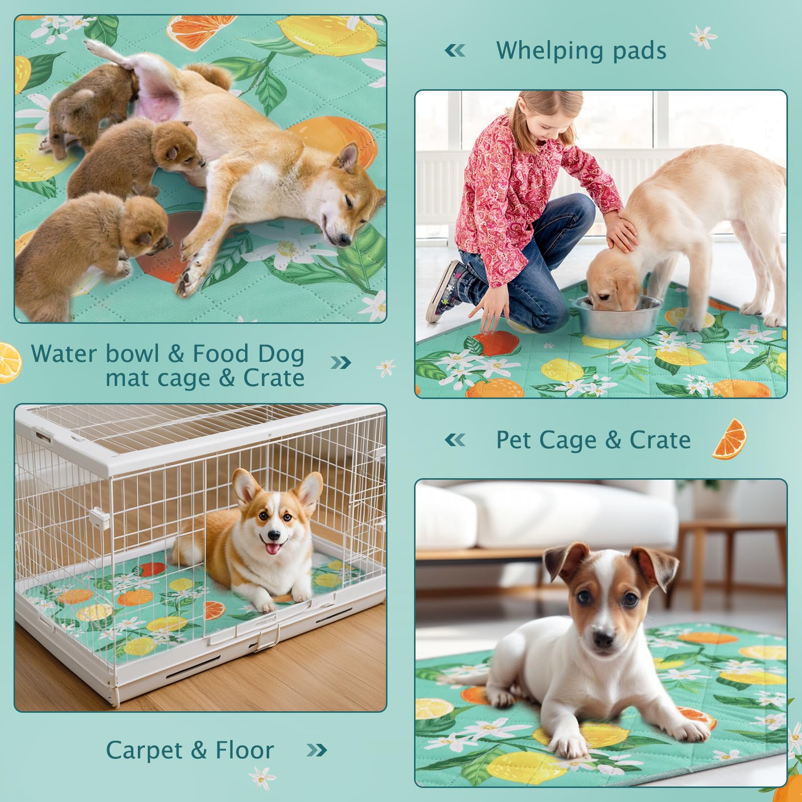 Bvagss Washable Pee Pads For Dogs, 1 Pack Reusable Leakproof Puppy Wee Wee Pad, Non-Slip Waterproof Pet Training Pads, Super Abs