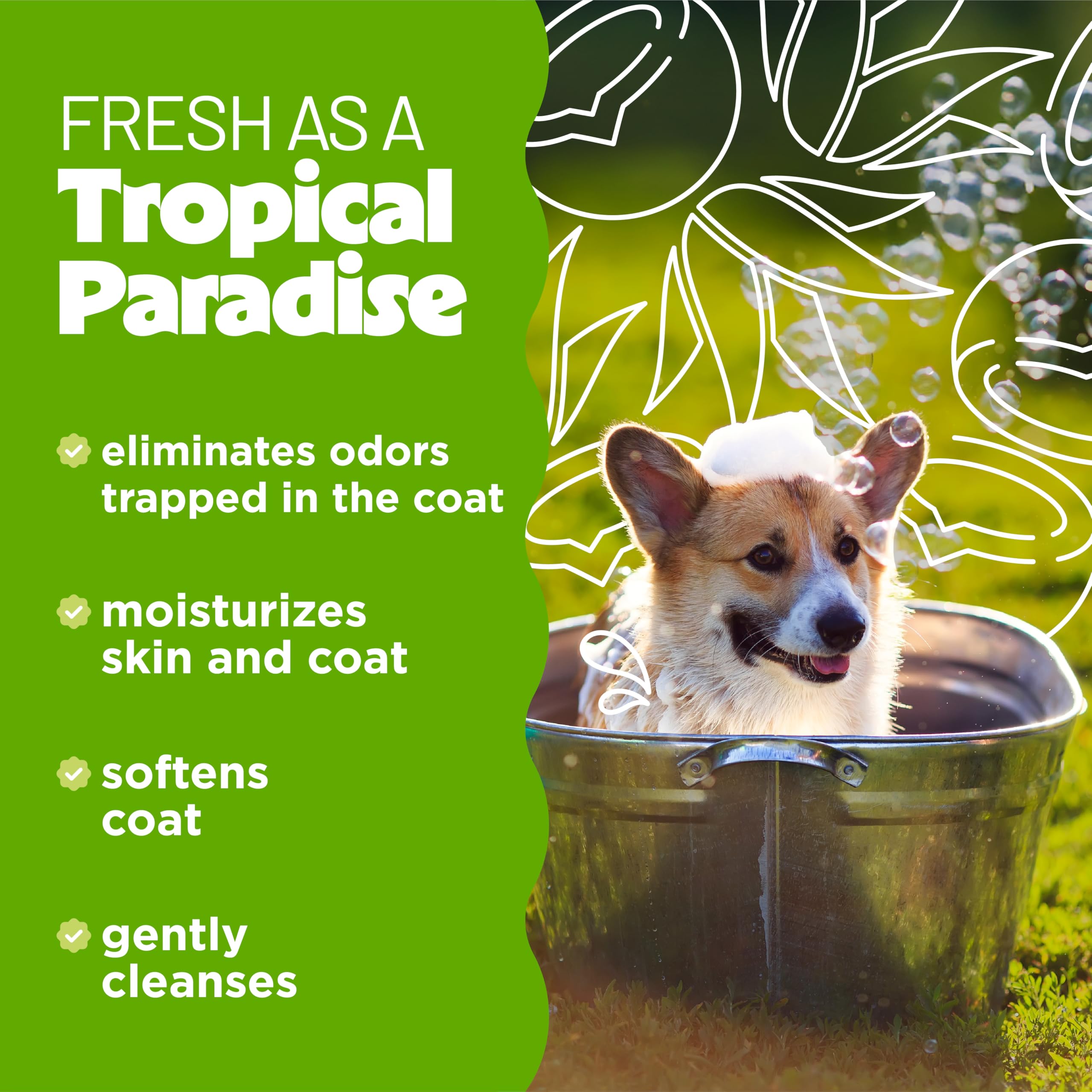 TropiClean Deodorizing Dog Shampoo for Smelly Dogs, Professional Dog Shampoo, Powerful Odor Control, Puppy Safe, Aloe & Coconut