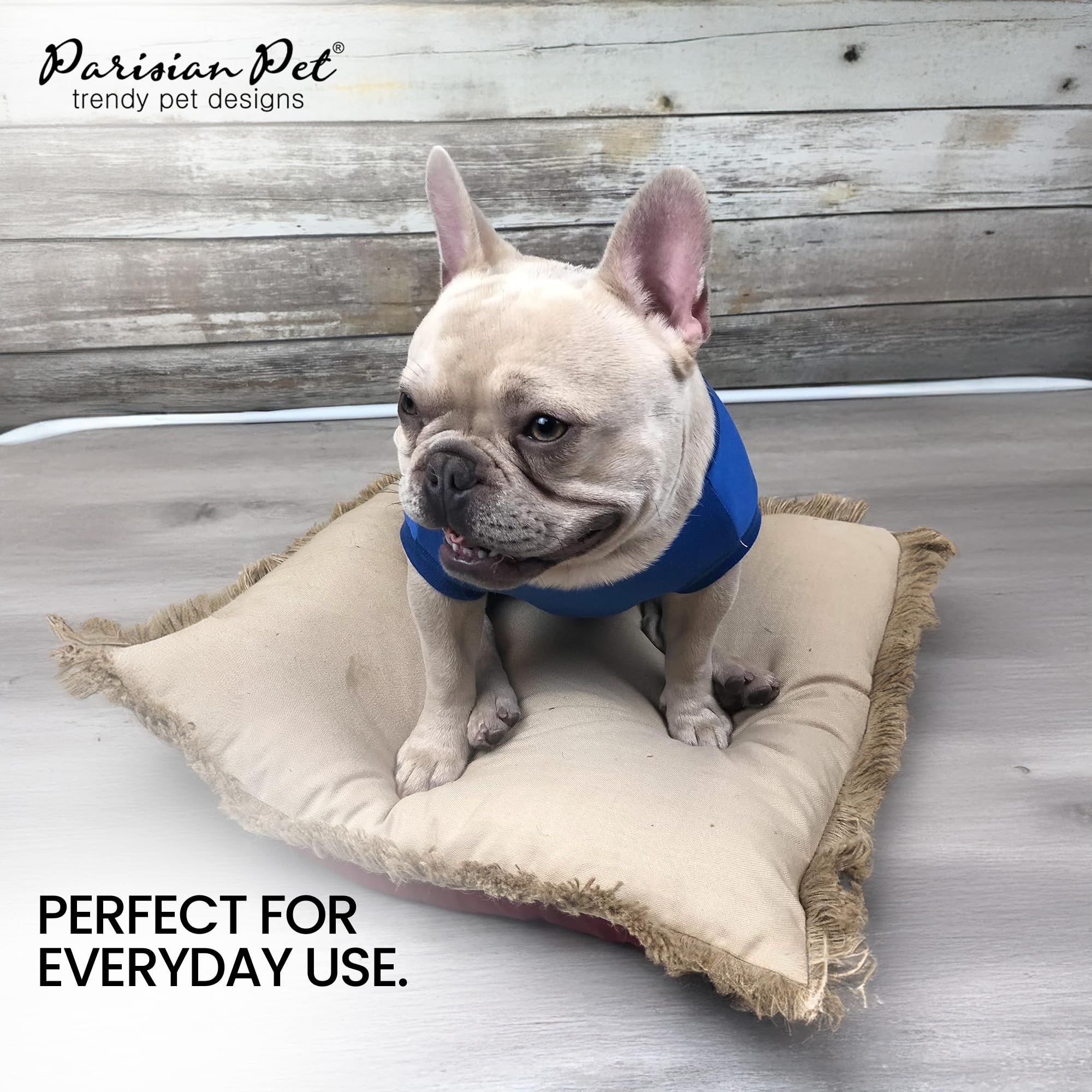 Parisian Pet Embroidered 'Worlds Champion' Dog Shirt - Lightweight Sleeveless Color Block Tee - Machine Washable For Small Dogs